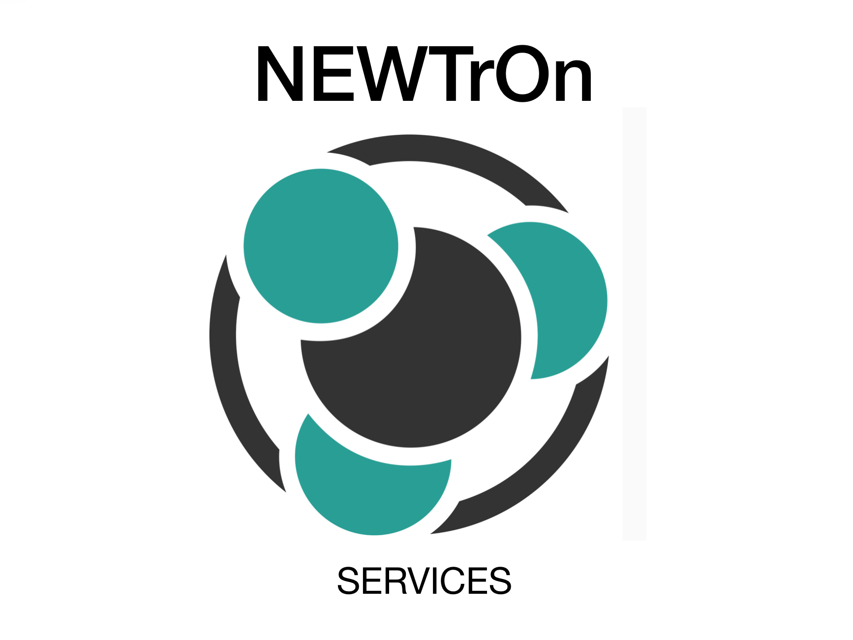 Newtron Services Logo