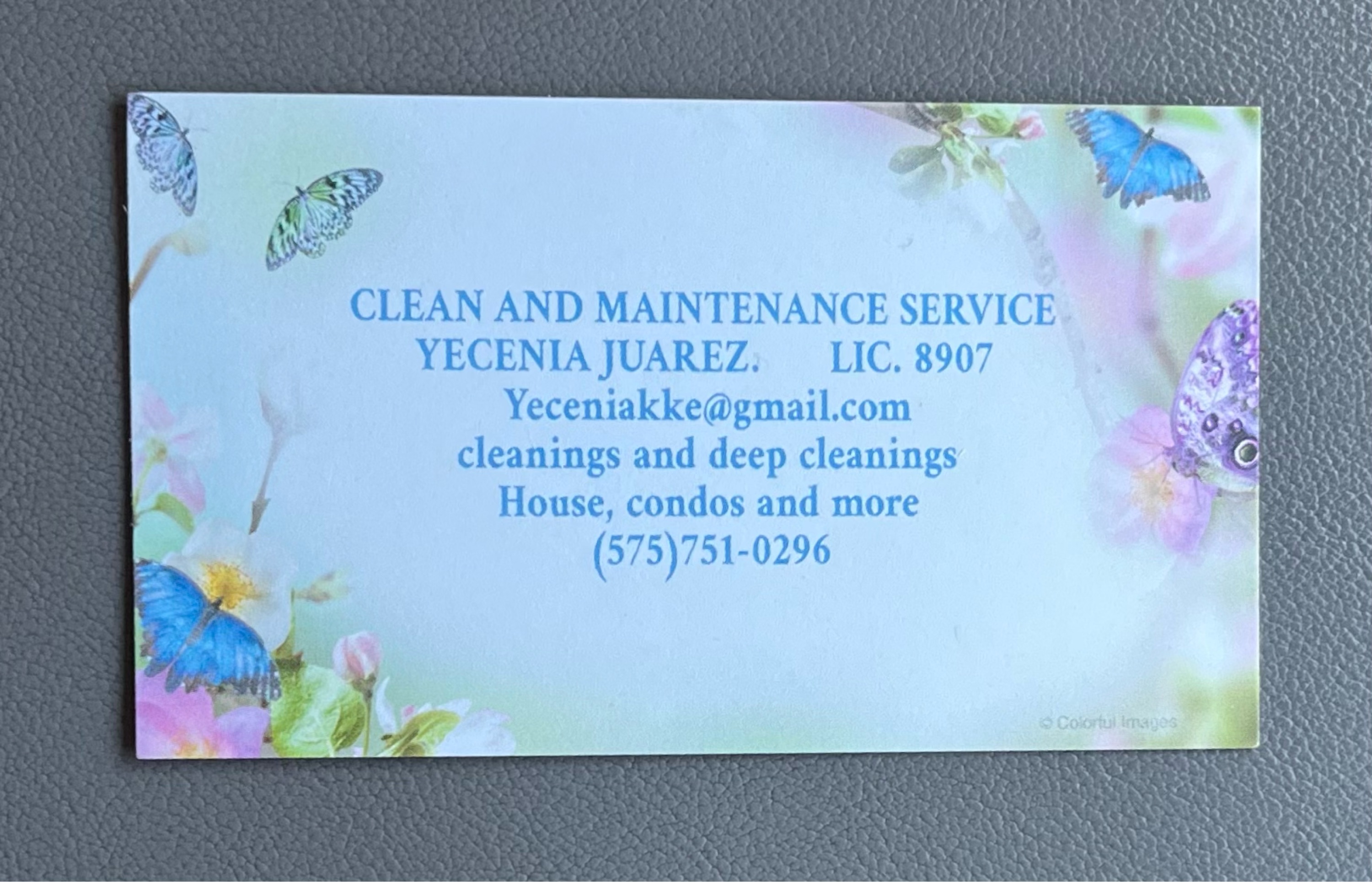 Clean and Maintenance Logo