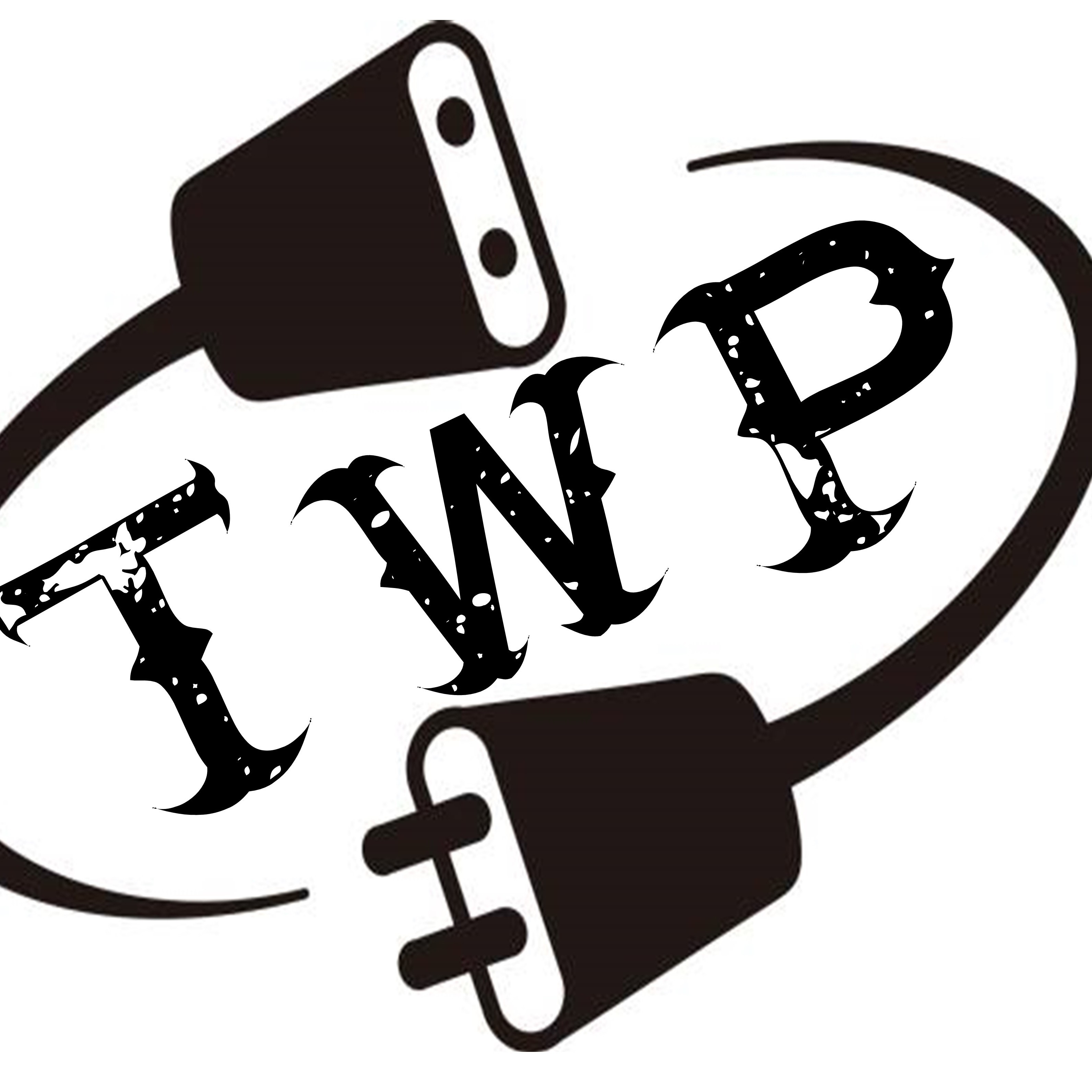 Tidewater Wire Pros, LLC Logo