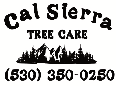 Cal Sierra Tree Care - Unlicensed Contractor Logo