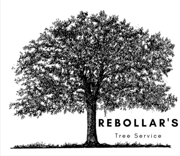 Rebollar's Tree Service Logo