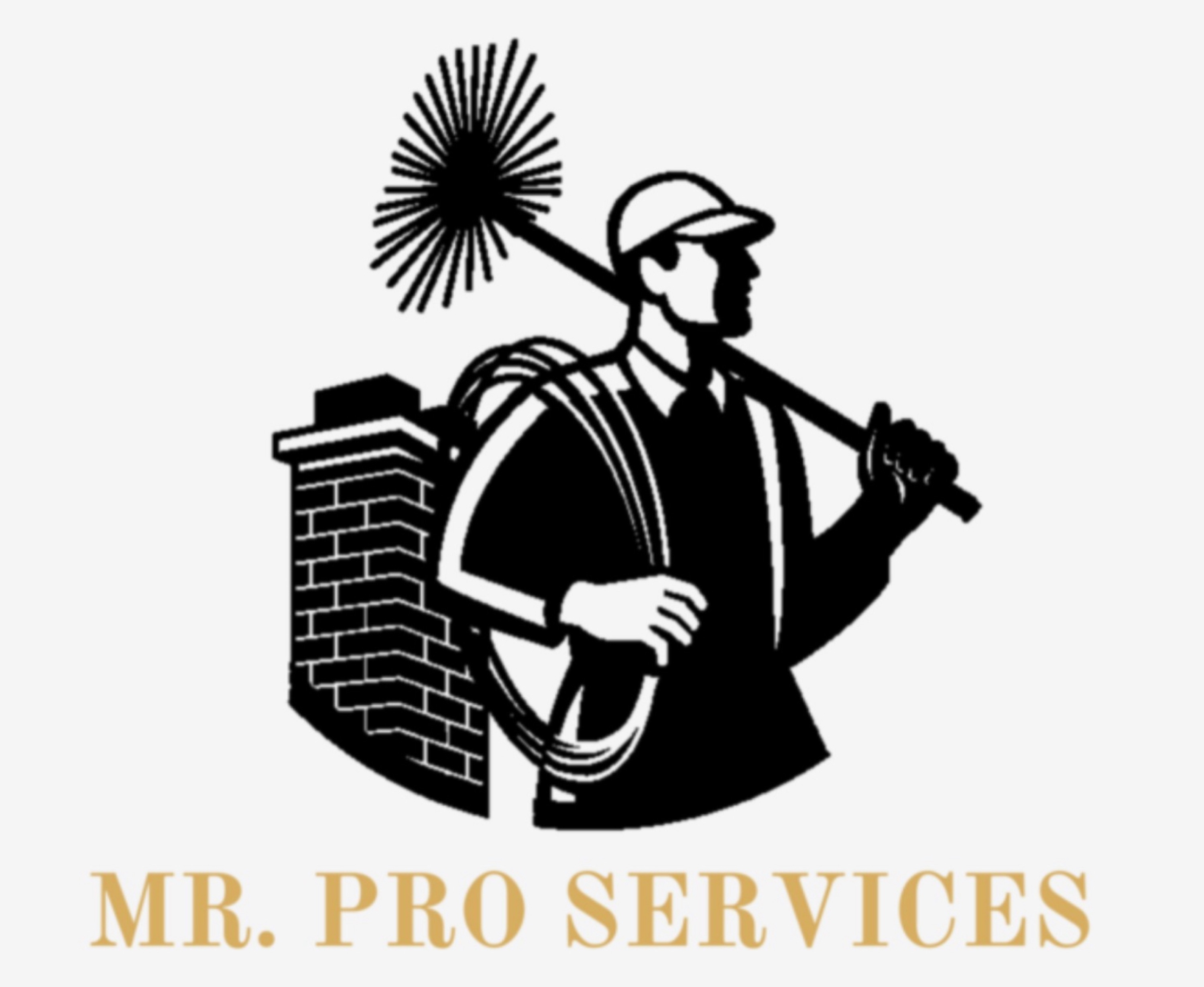 Mr. Pro Services, LLC Logo