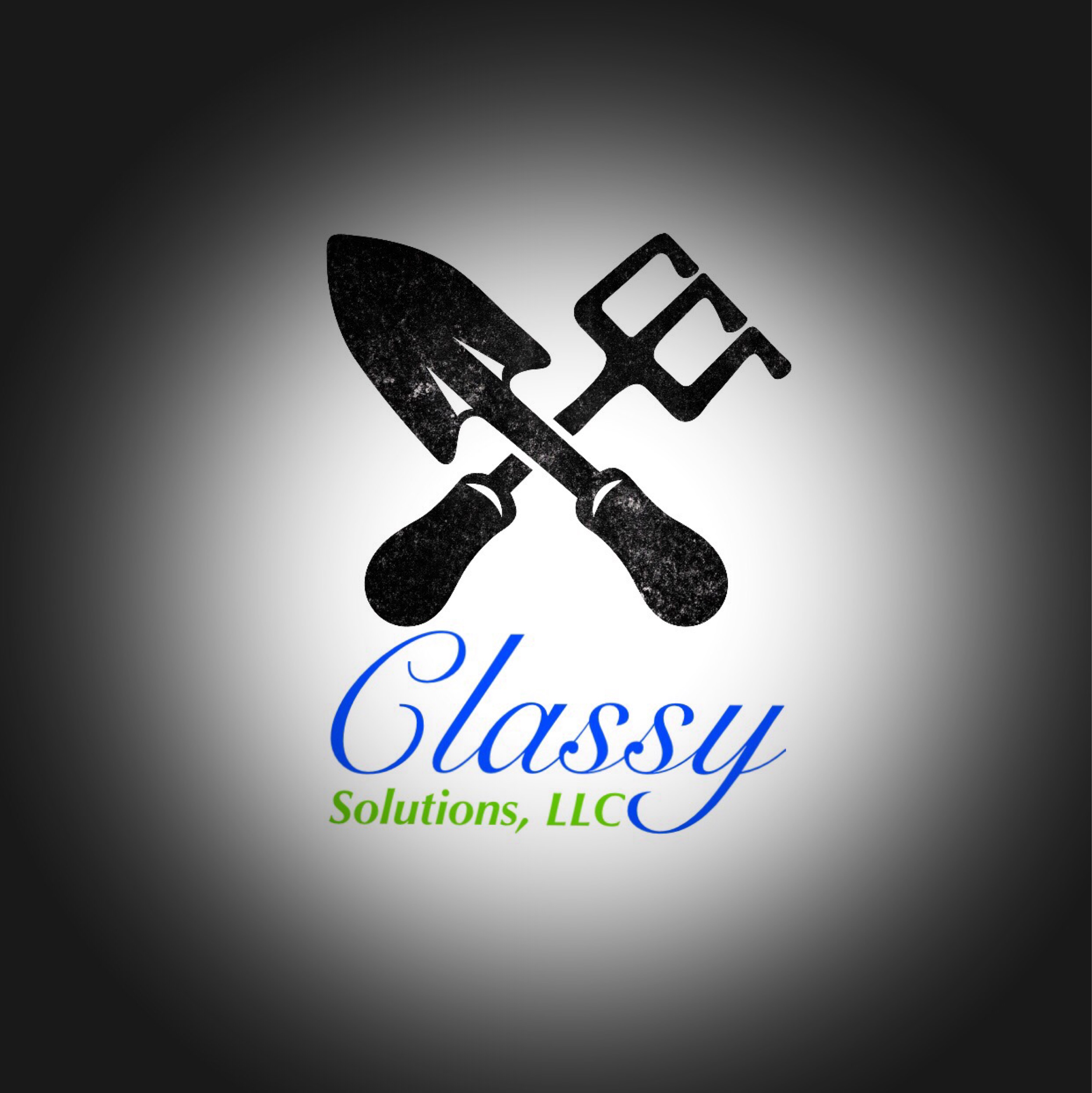 Classy Solutions, LLC Logo