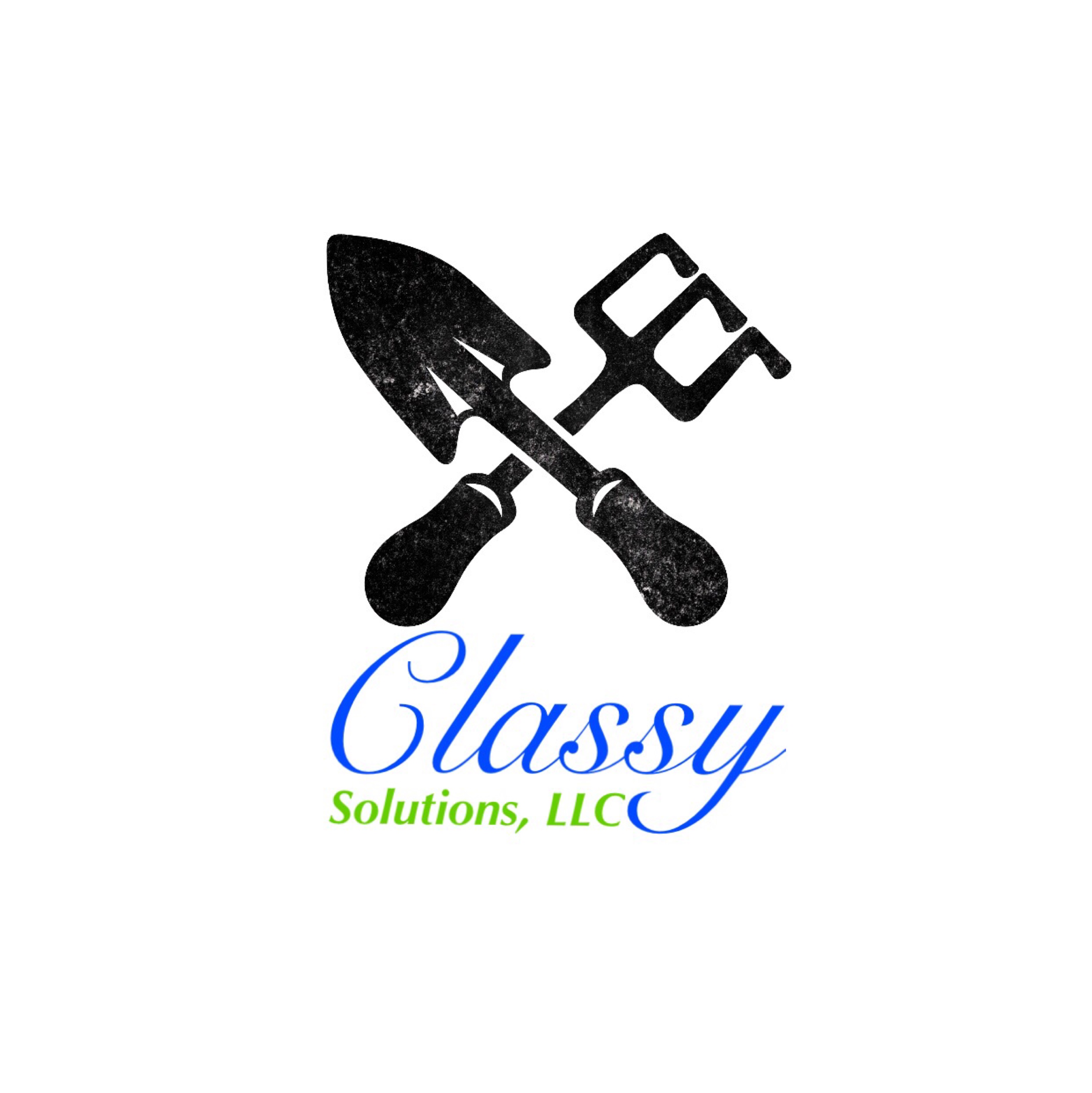 Classy Solutions, LLC Logo