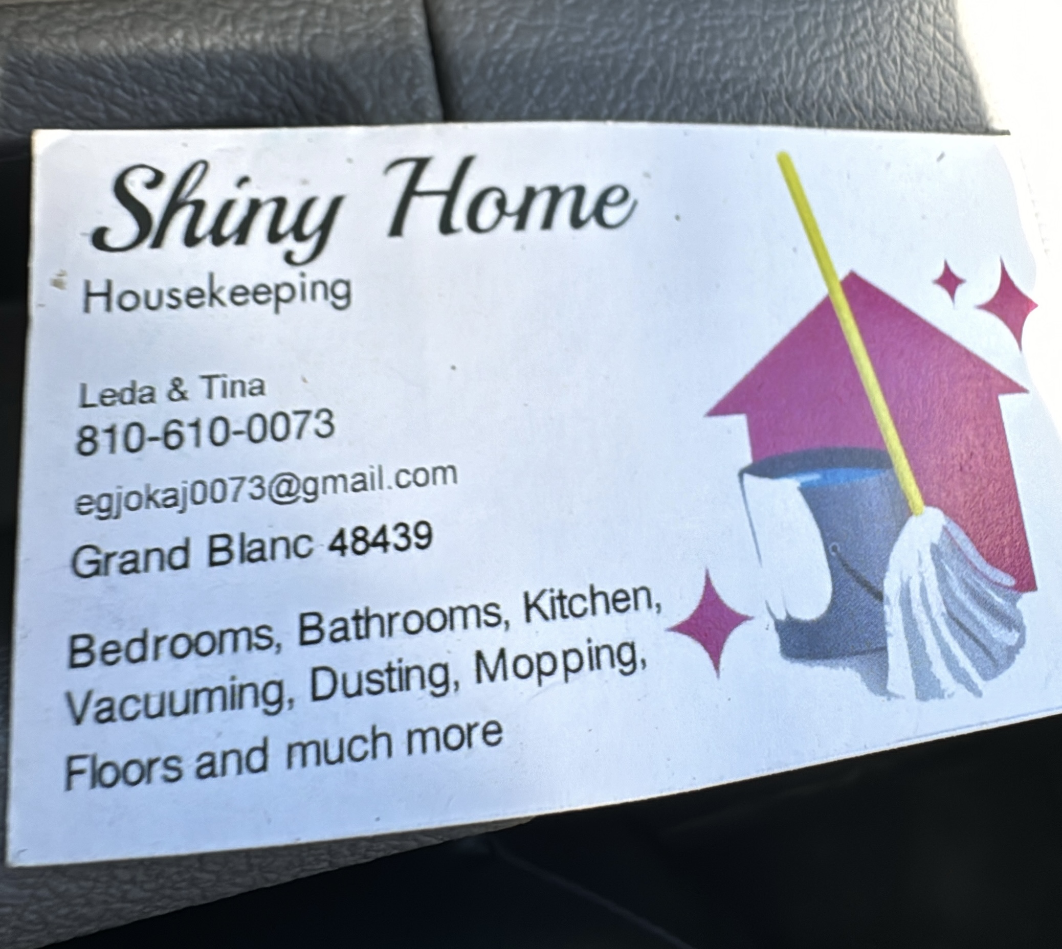 Shiny Homes Logo