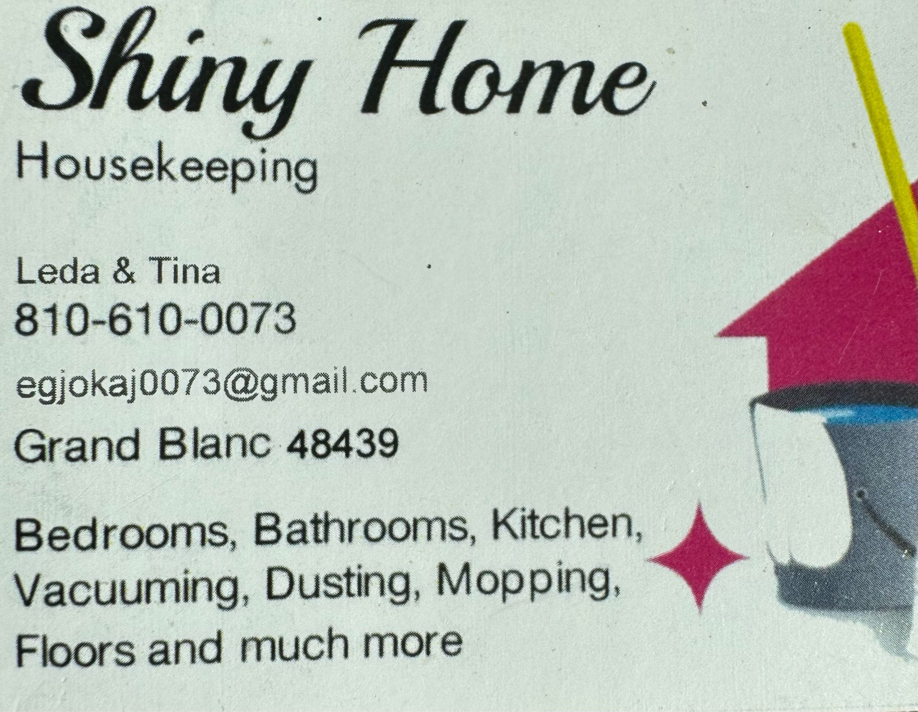 Shiny Homes Logo