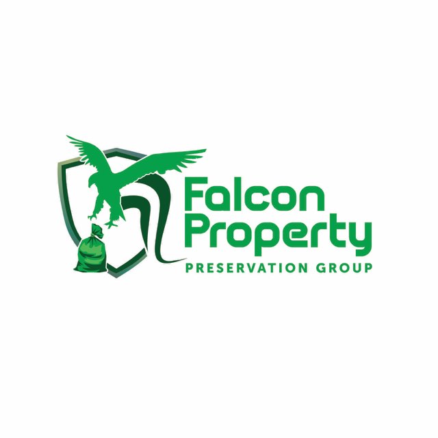 Falcon Property Preservation Group LLC Logo