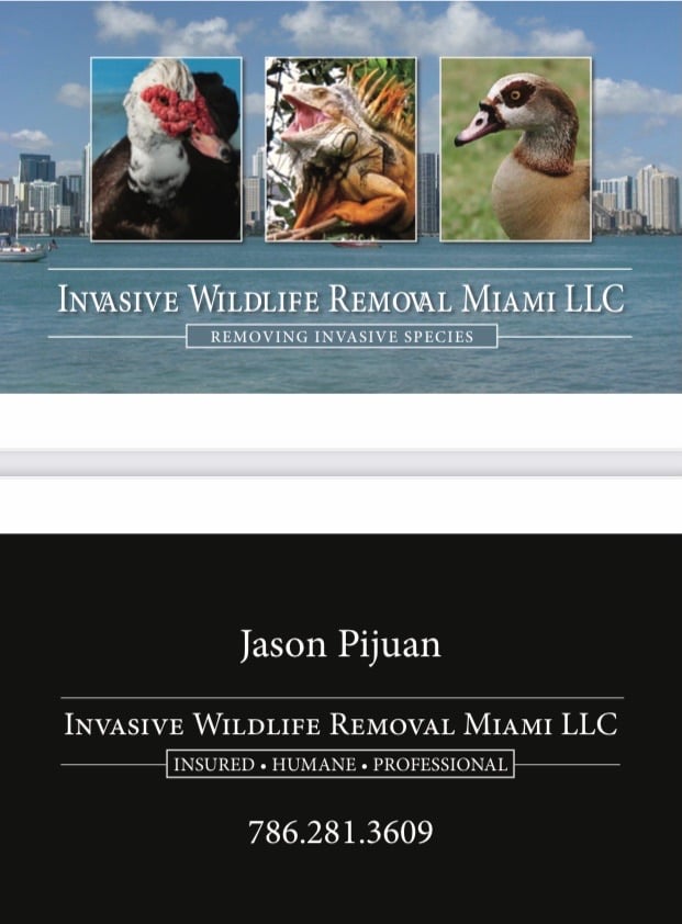 Invasive Wildlife Removal Miami, LLC Logo