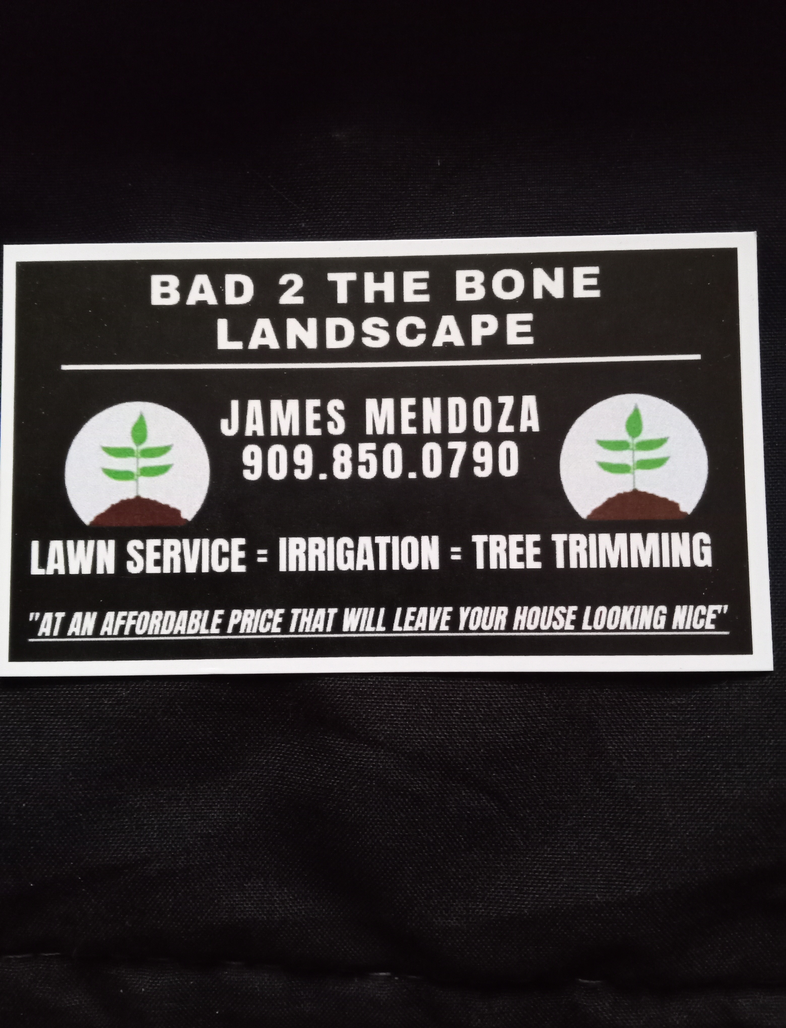 Bad 2 The Bone Landscape - Unlicensed Contractor Logo
