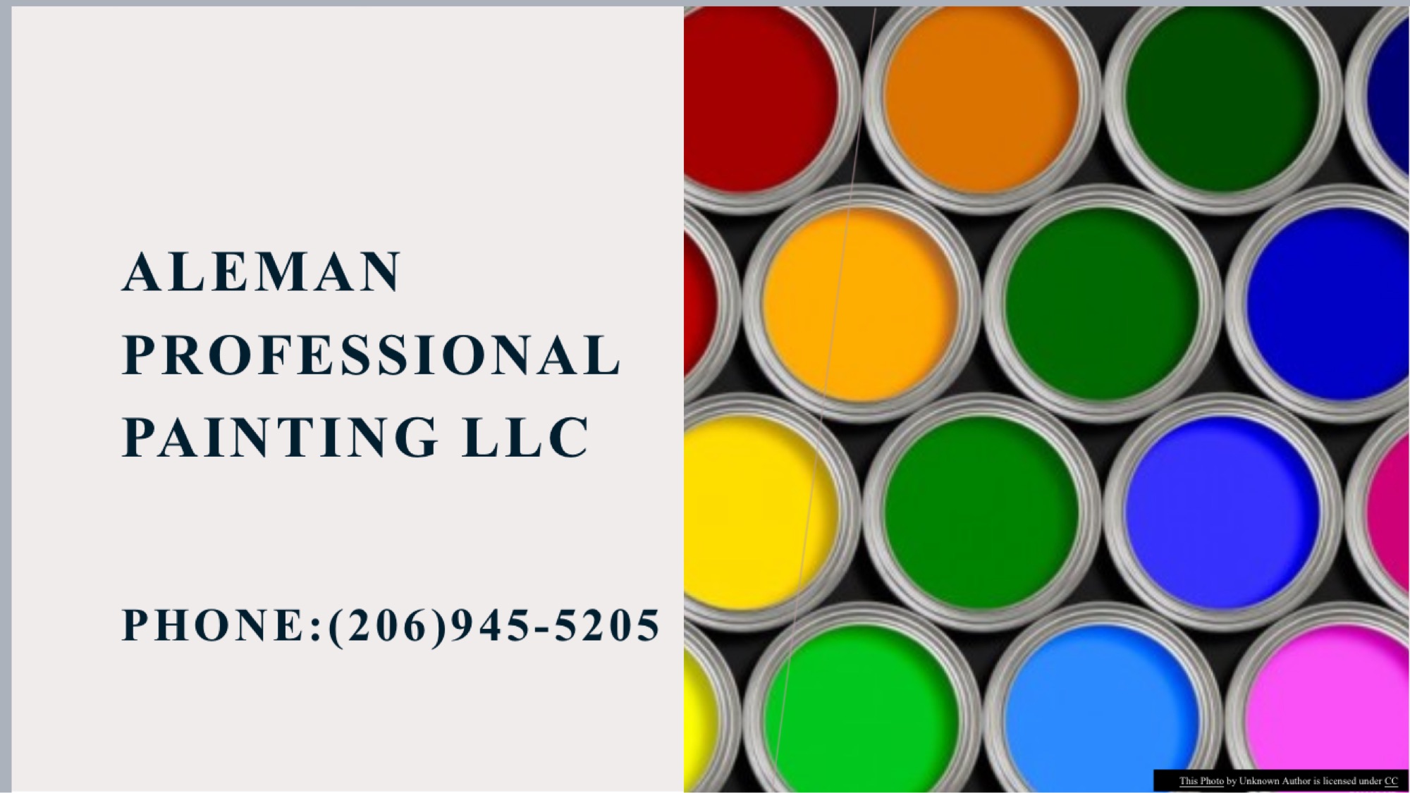 Aleman Professional Painting LLC Logo