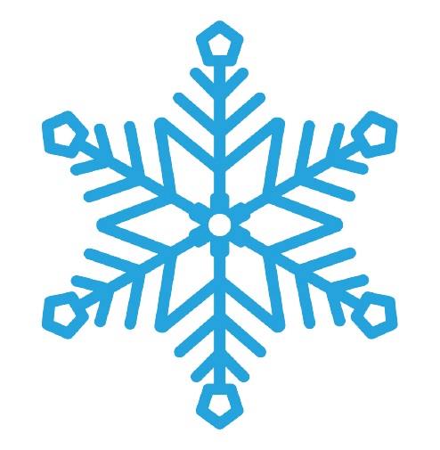 Northern Virginia Snow Removal Logo