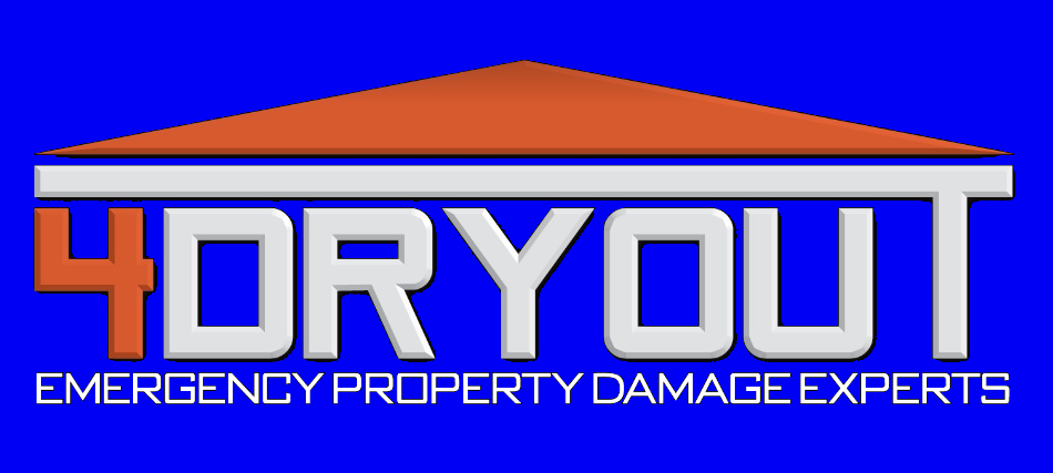 4 Dry Out Logo