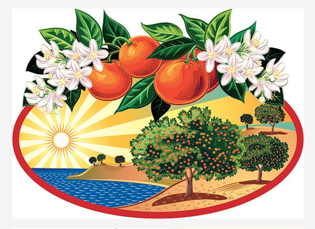 Orange Grove Electric Logo