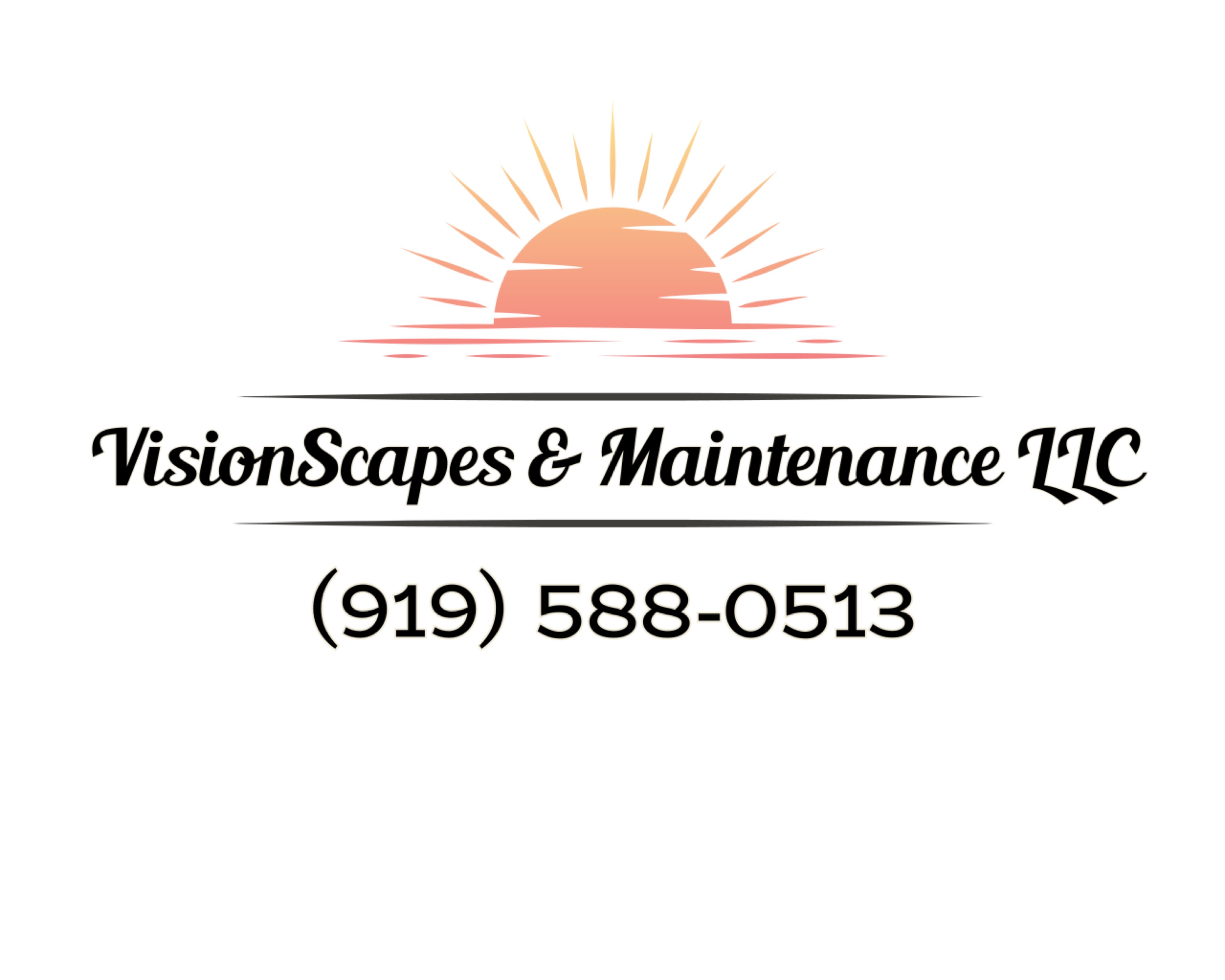 Visionscapes & Maintenance LLC Logo