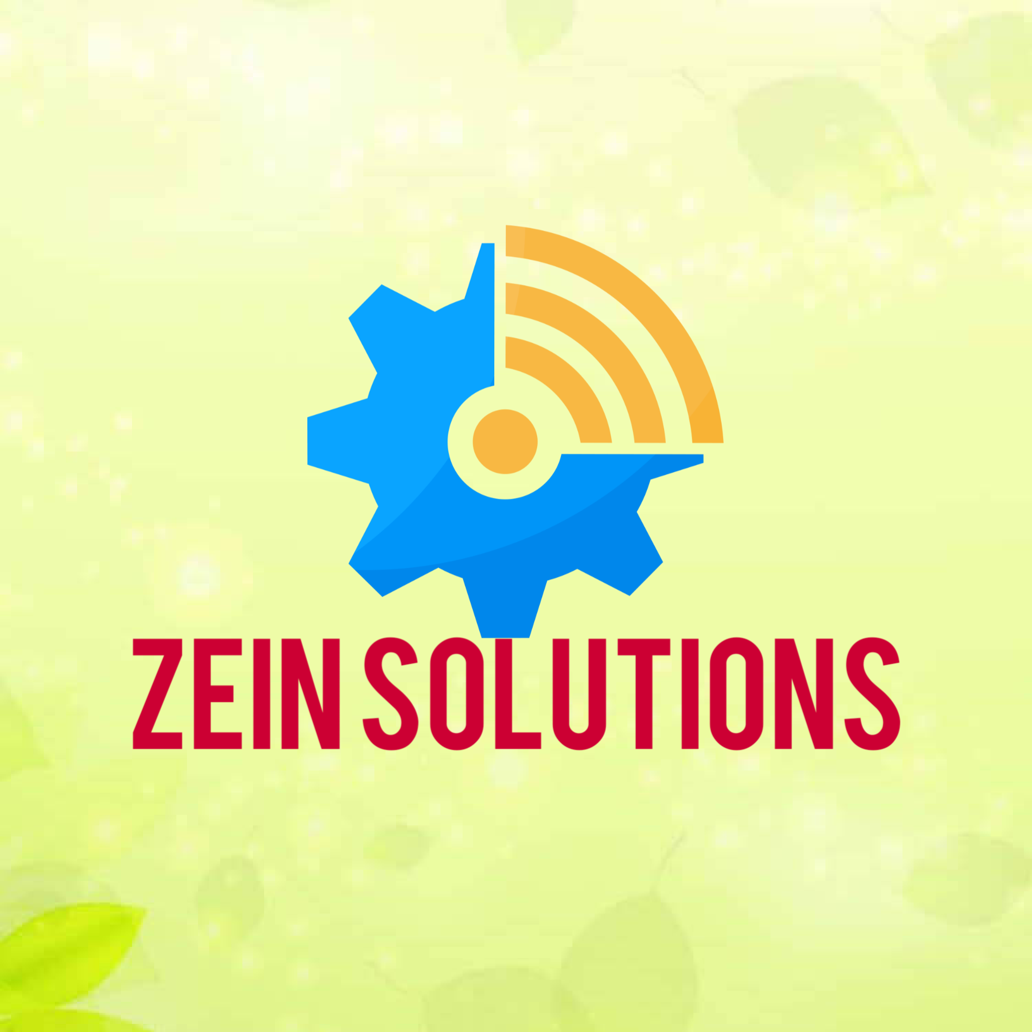 Zein Solutions Logo