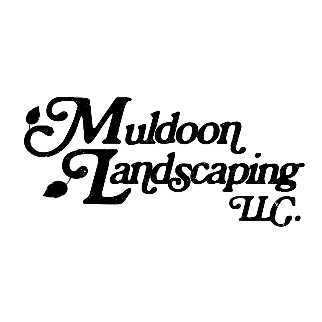 Cool Spaces Landscaping Logo