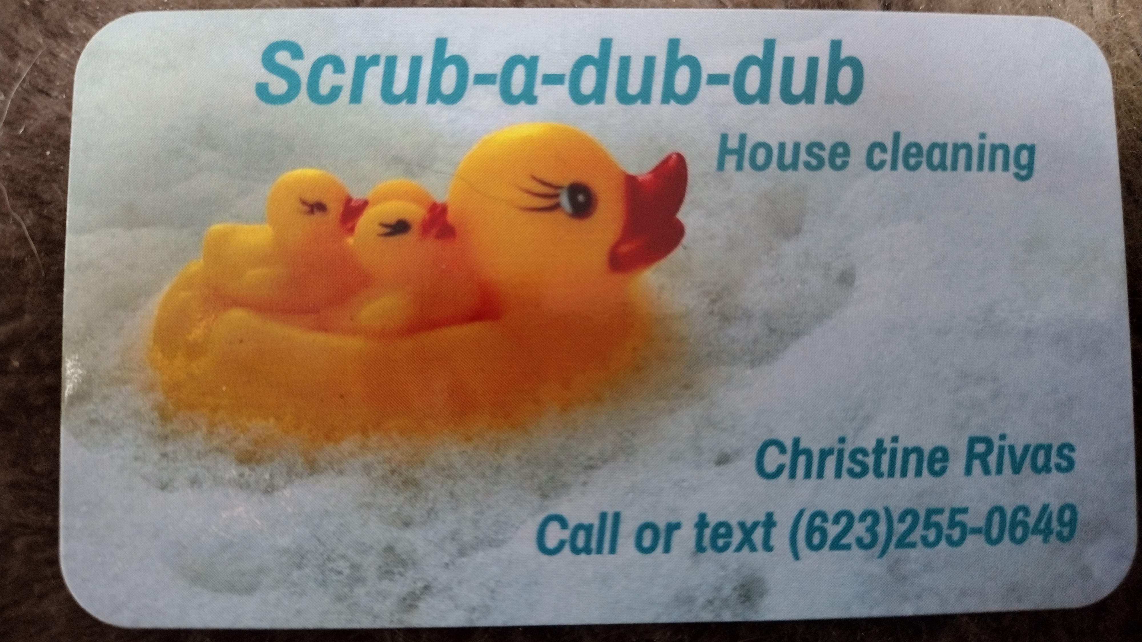 Scrub-A-Dub-Dub House Cleaning Logo
