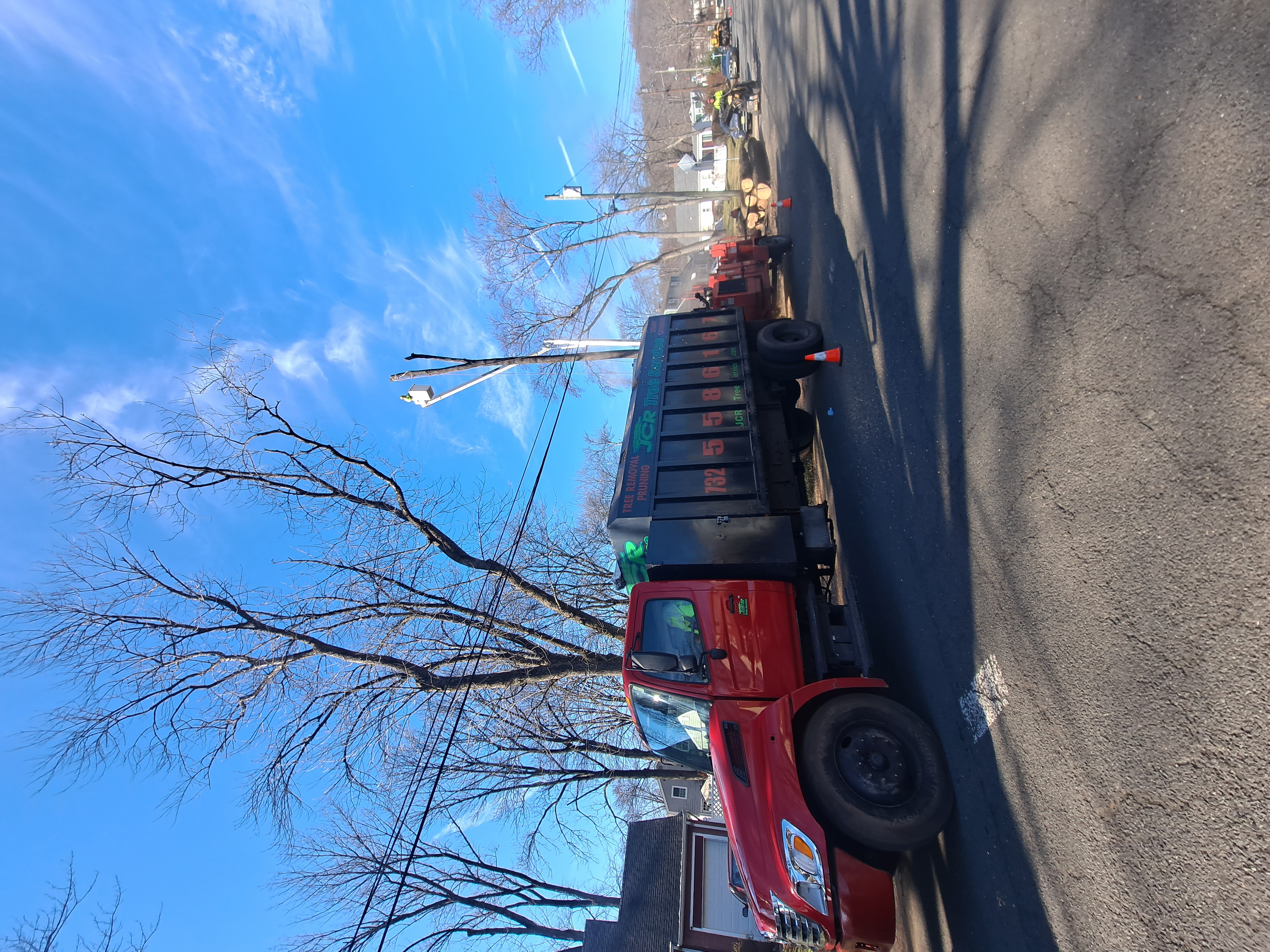 J.C.R. Tree Service Logo