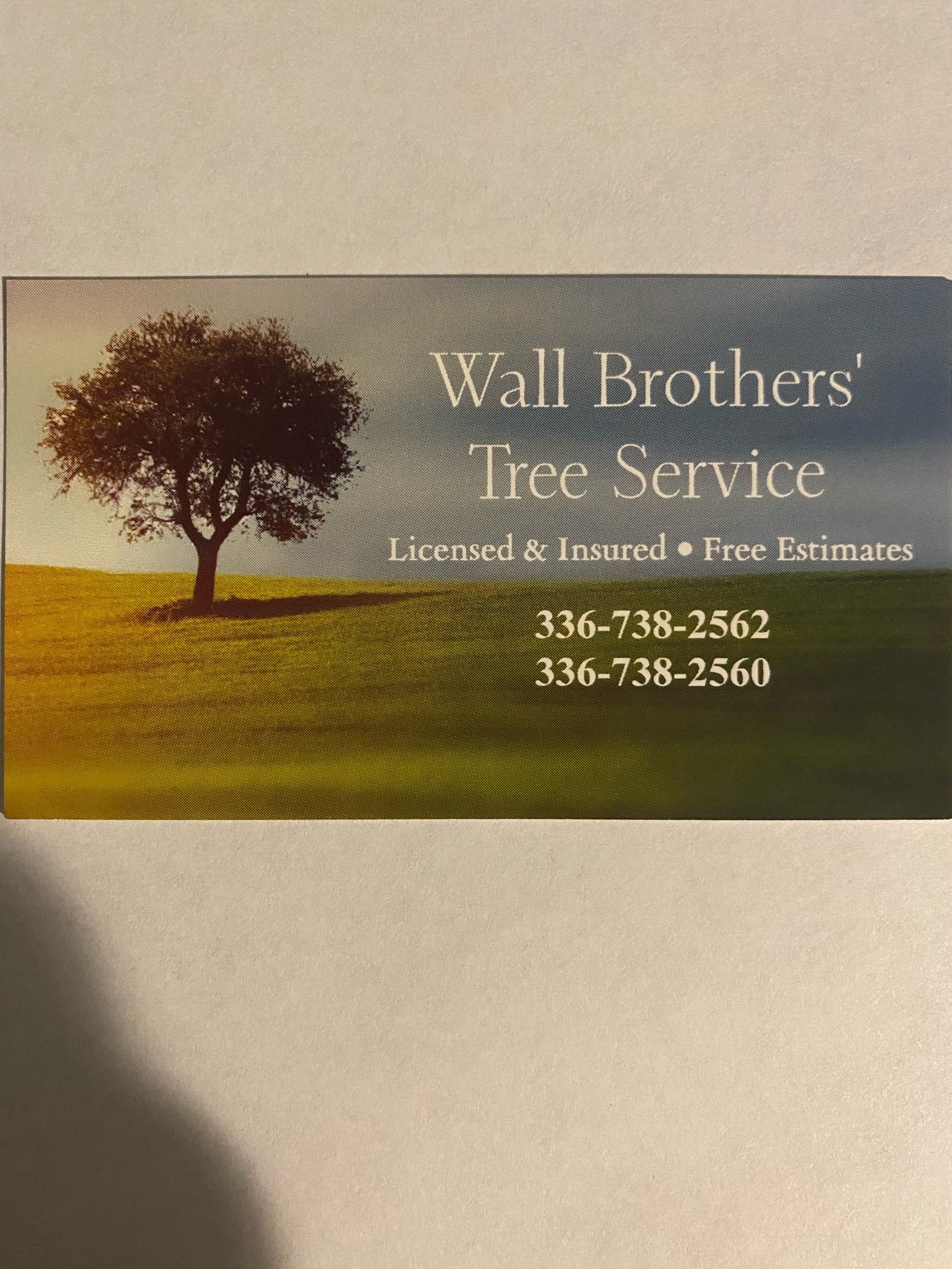 Wall Brother's Tree Service Logo