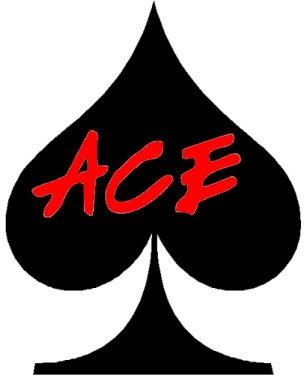 ACE Pool Care & Repair, Inc. Logo