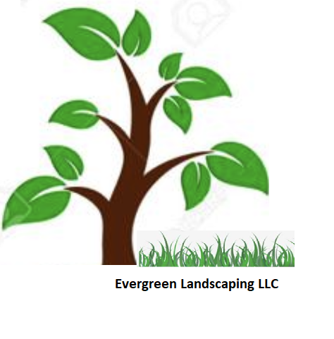 Evergreen Landscaping LLC Logo