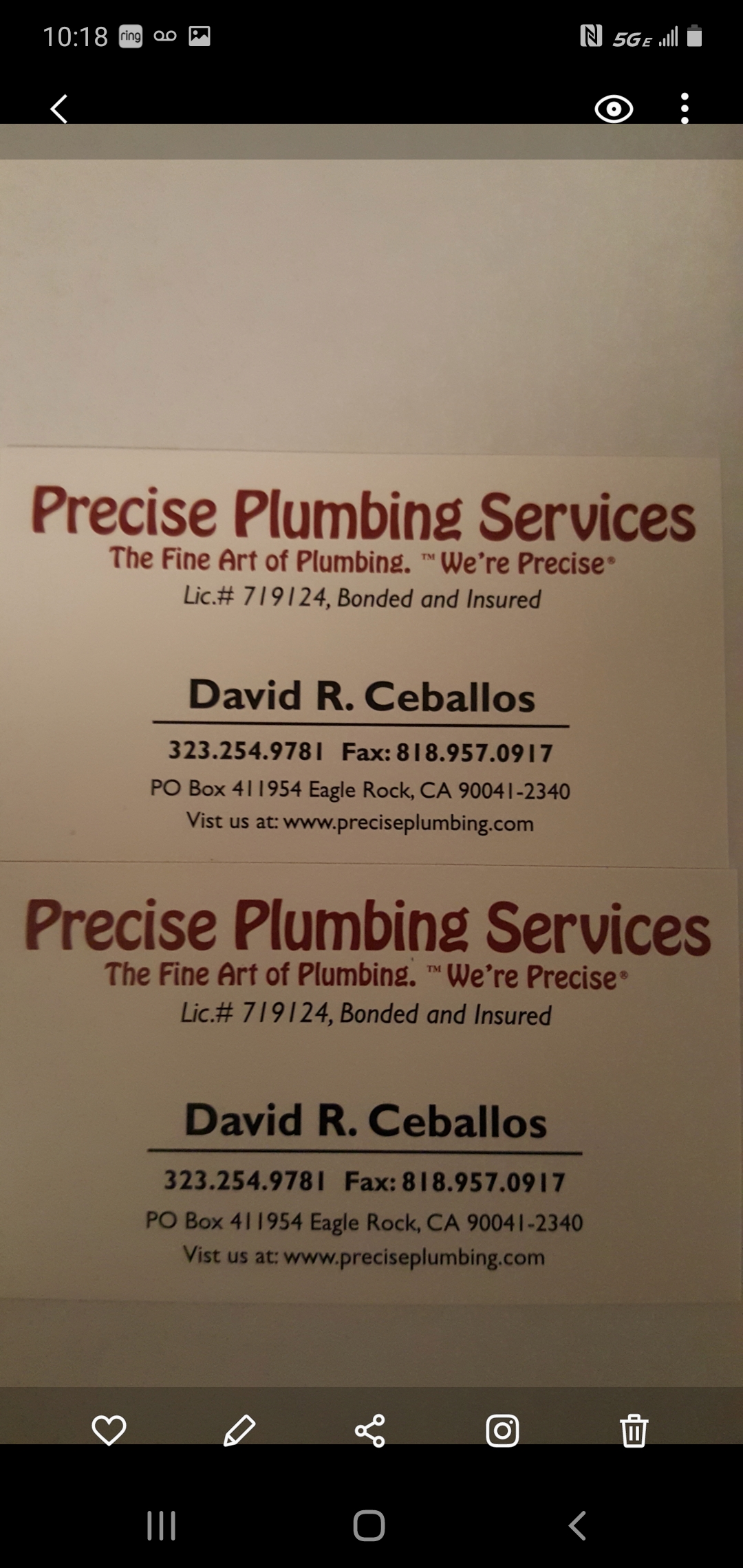 Precise Plumbing Services Logo