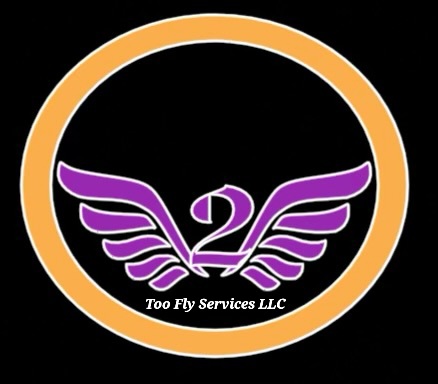 Too Fly Services Logo
