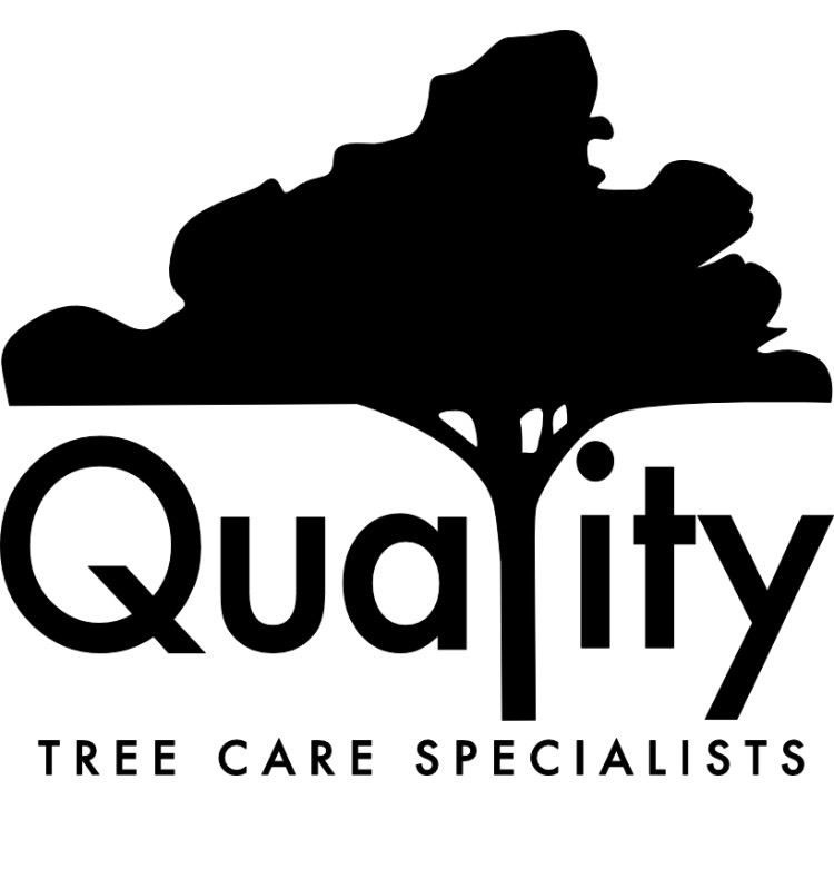 Quality Tree Care Specialists, LLC Logo