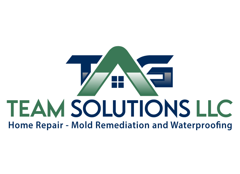 Tag Team Solutions, LLC Logo