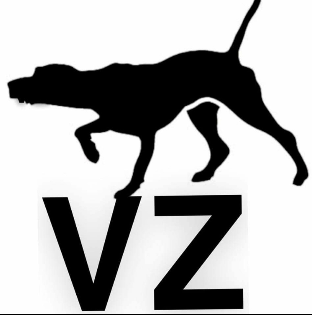 Vomzion Services, LLC Logo
