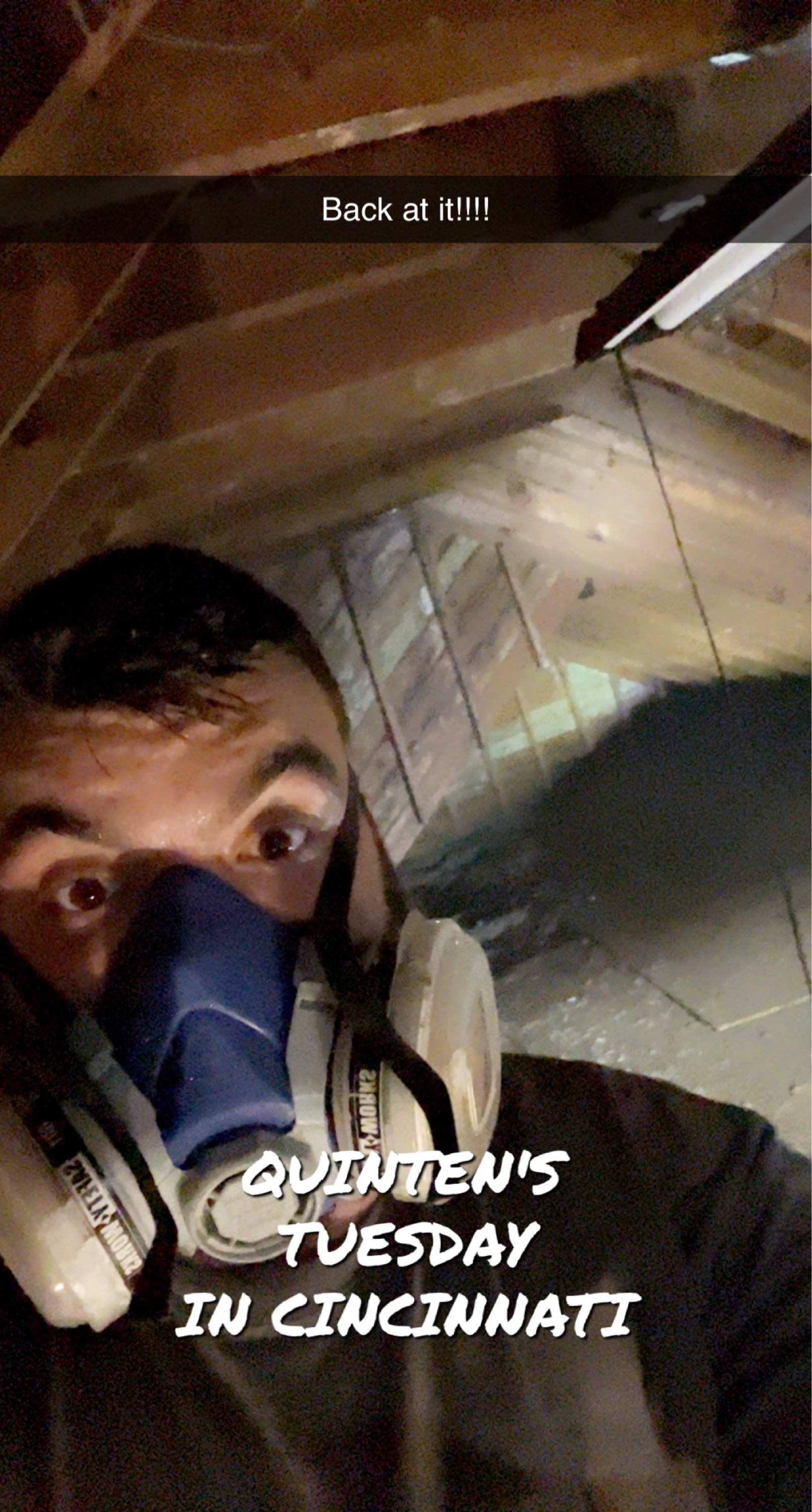 Critter Insulation Logo