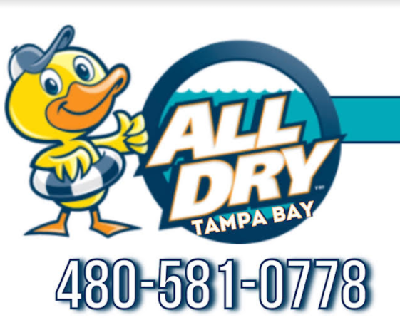 All Dry Tampa Bay Logo