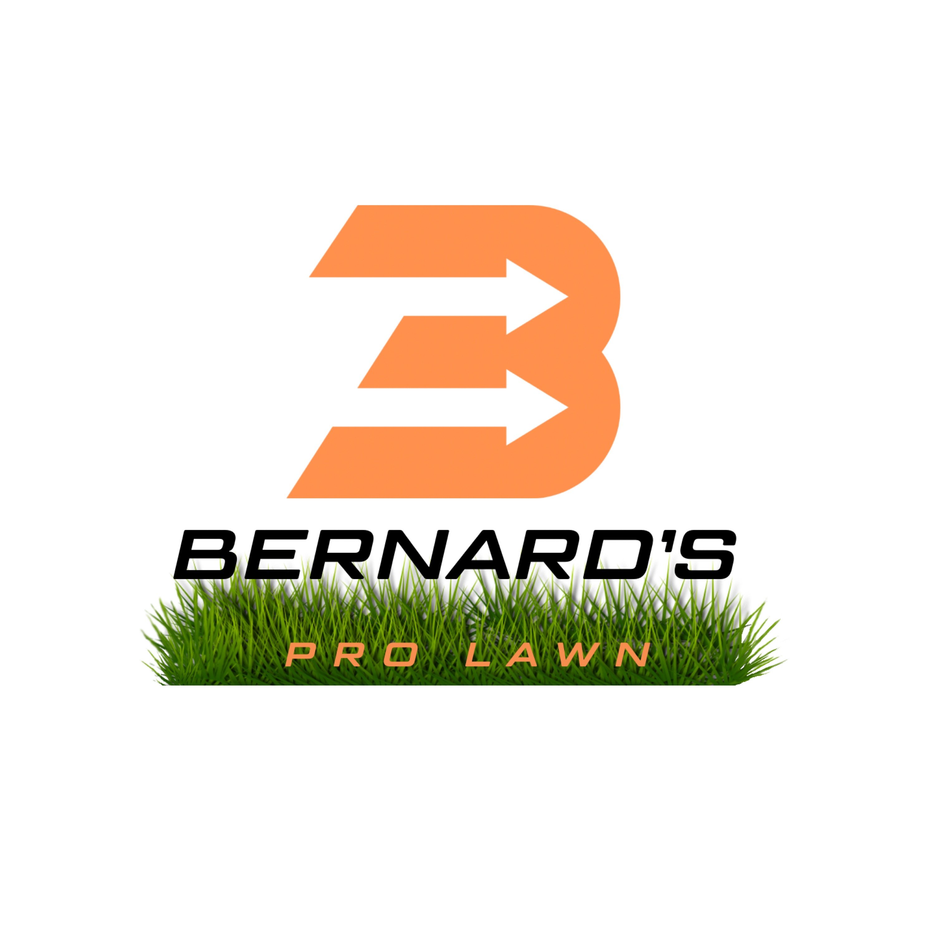 Bernards Pro Lawncare LLC Logo