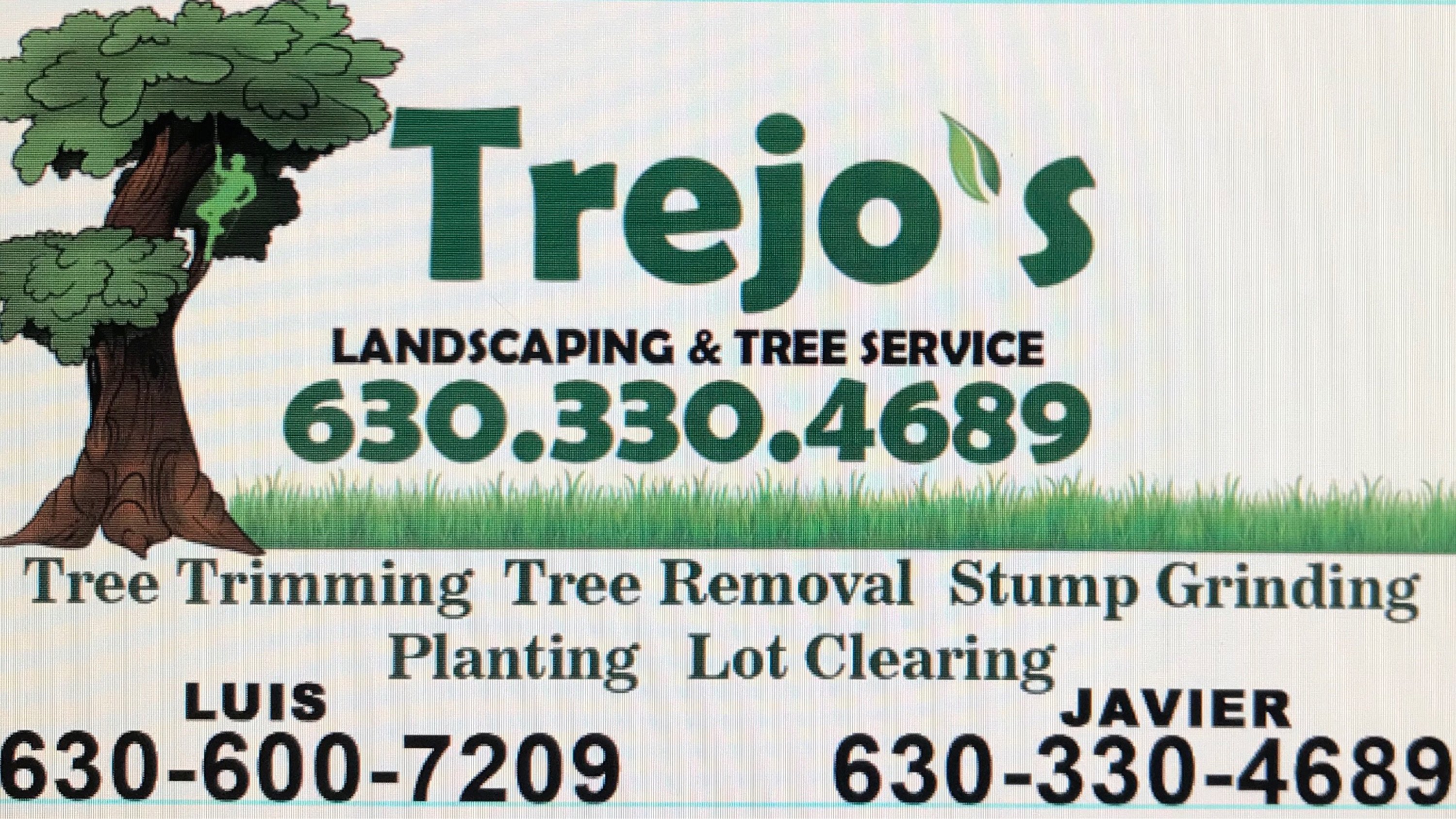 Trejos Landscaping & Tree Service Logo