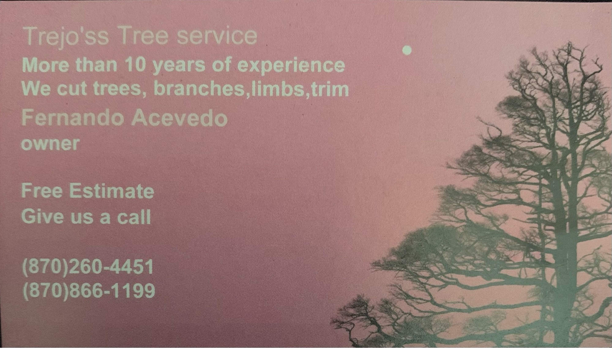 Trejo's Tree Service, LLC Logo