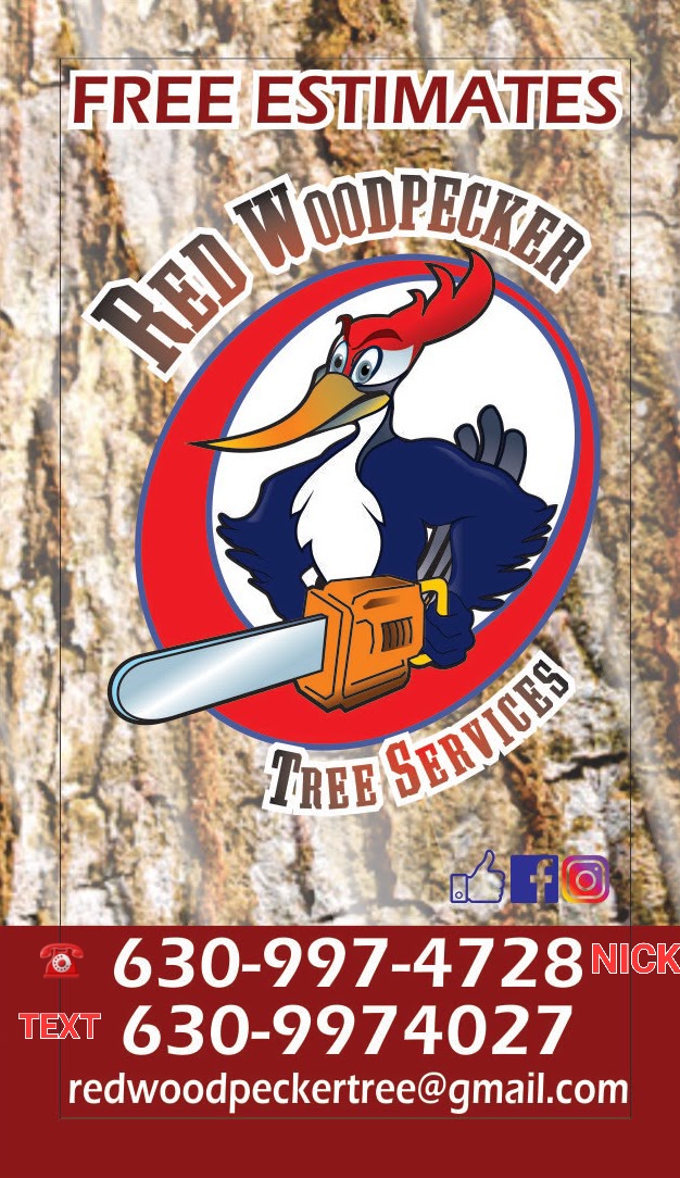 Red WoodPecker Tree Services Logo