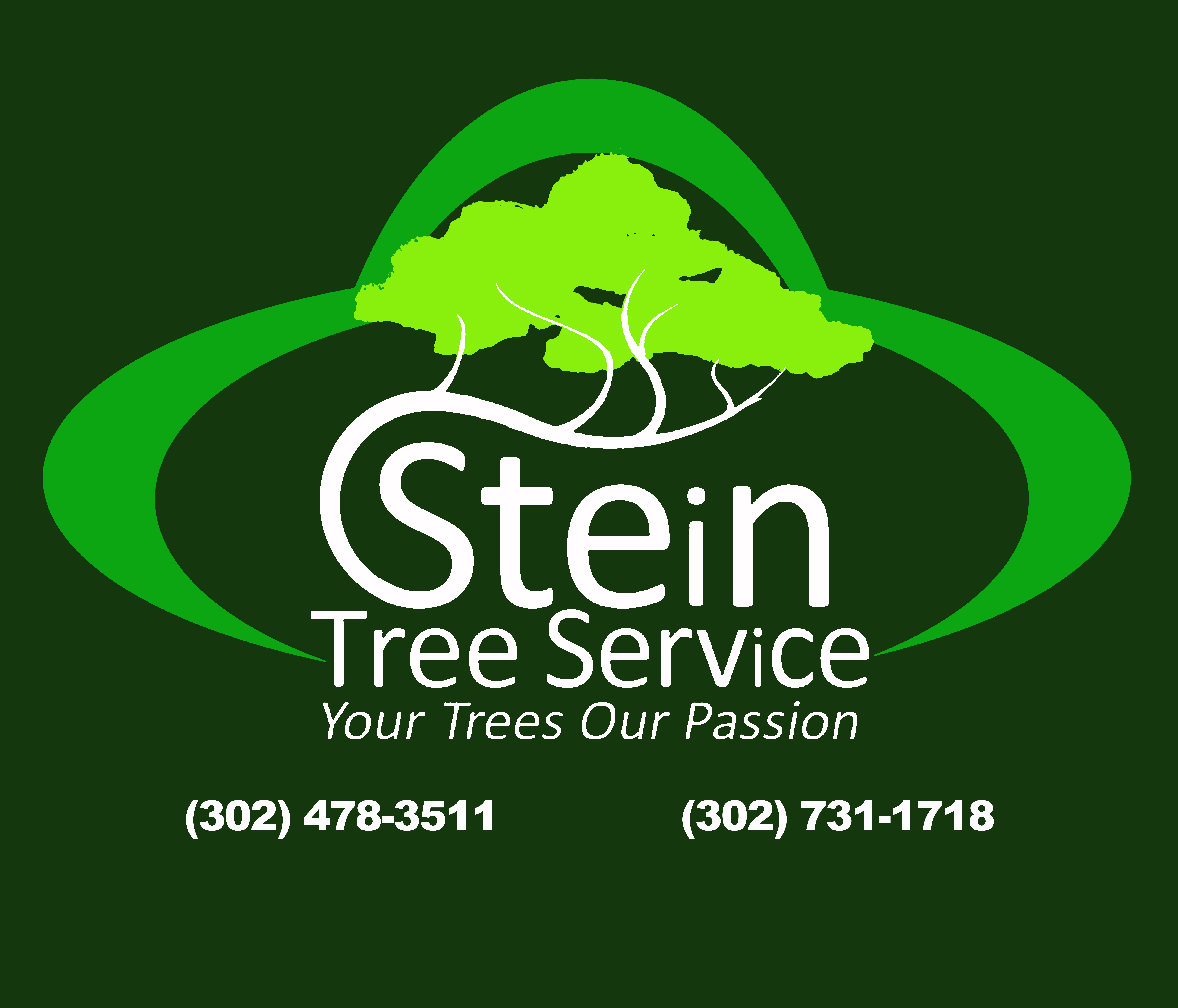 Stein Tree Services Logo