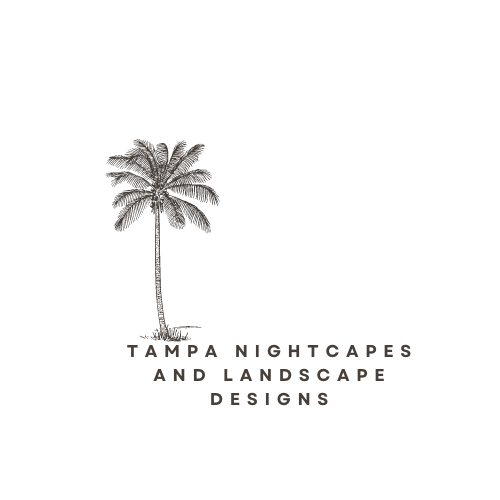 Tampa Nightscapes Logo