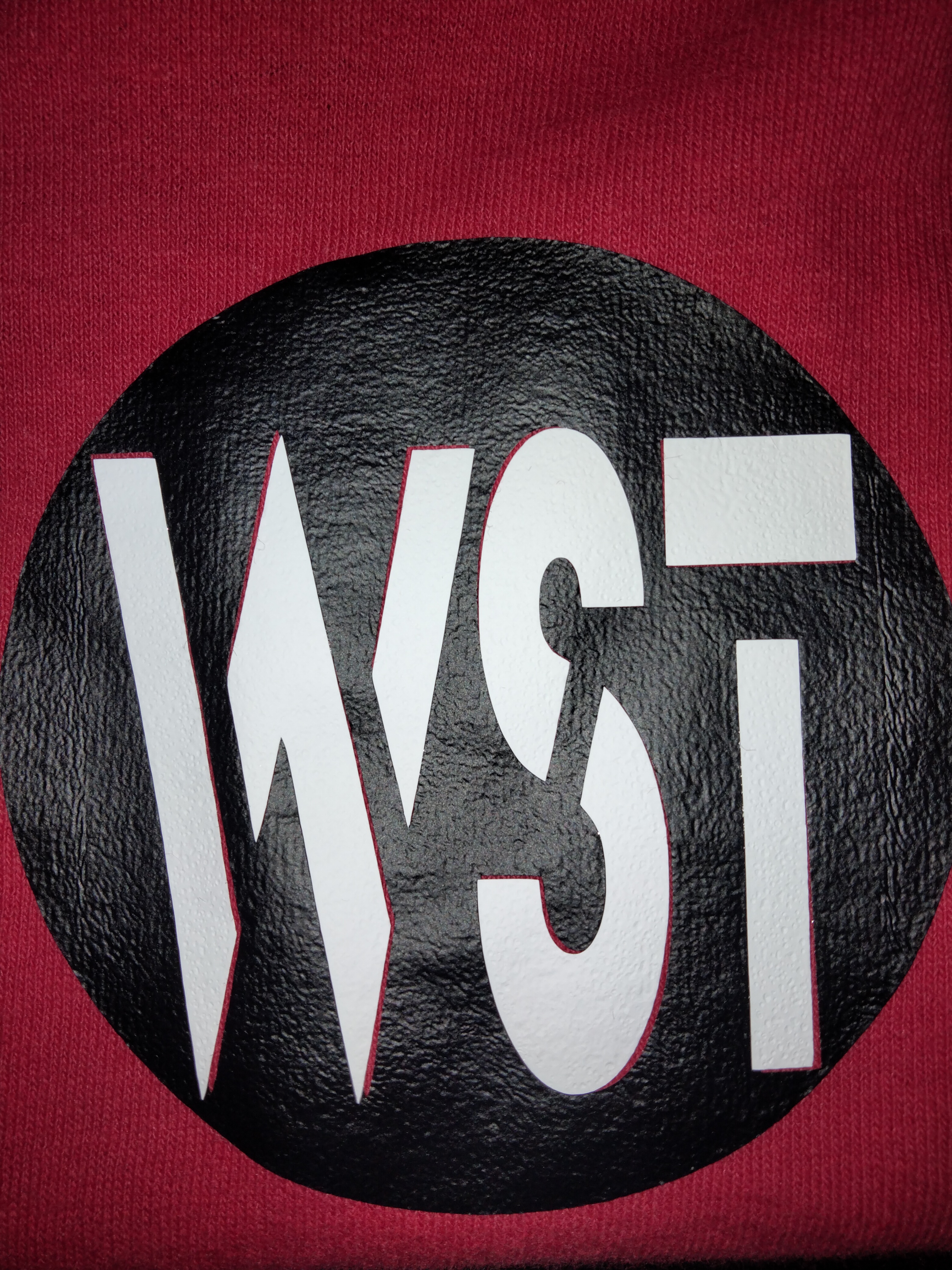 WST Cleaning Services LLC Logo