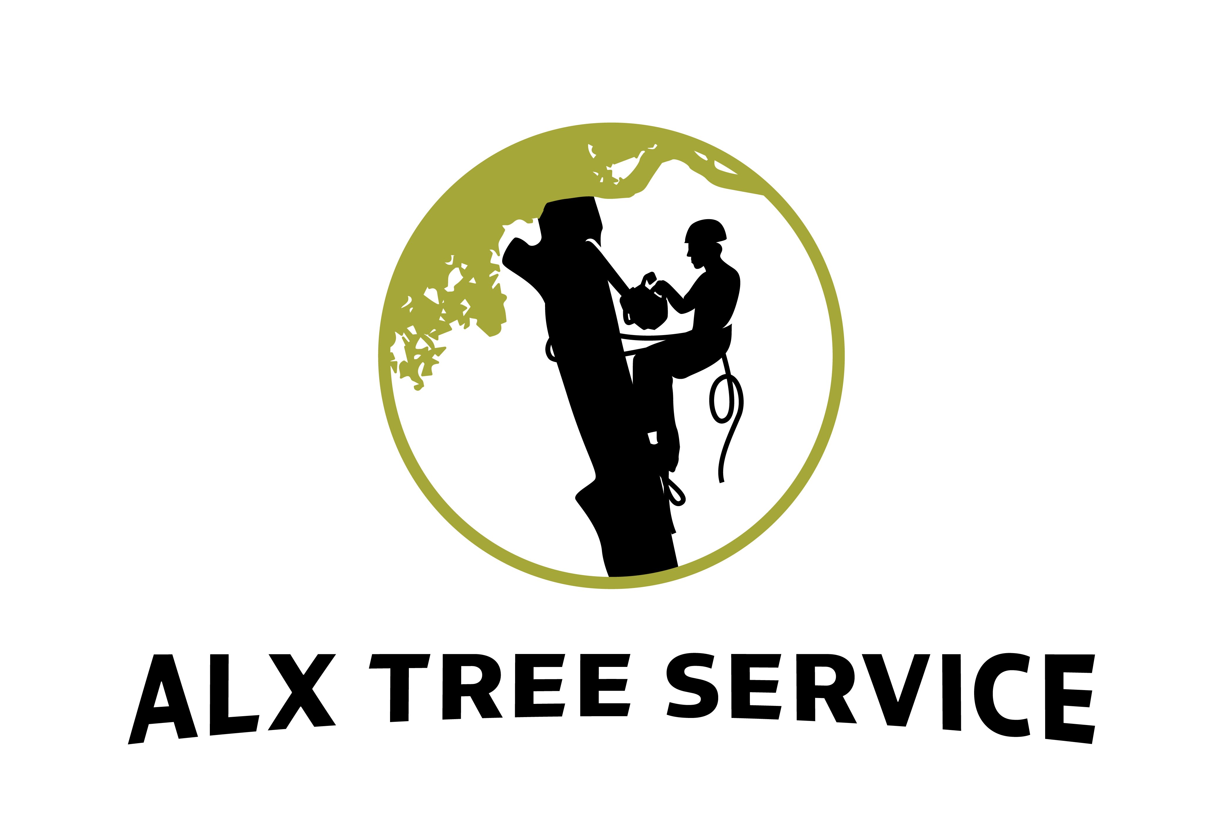 ALX Products and Services, LLC Logo
