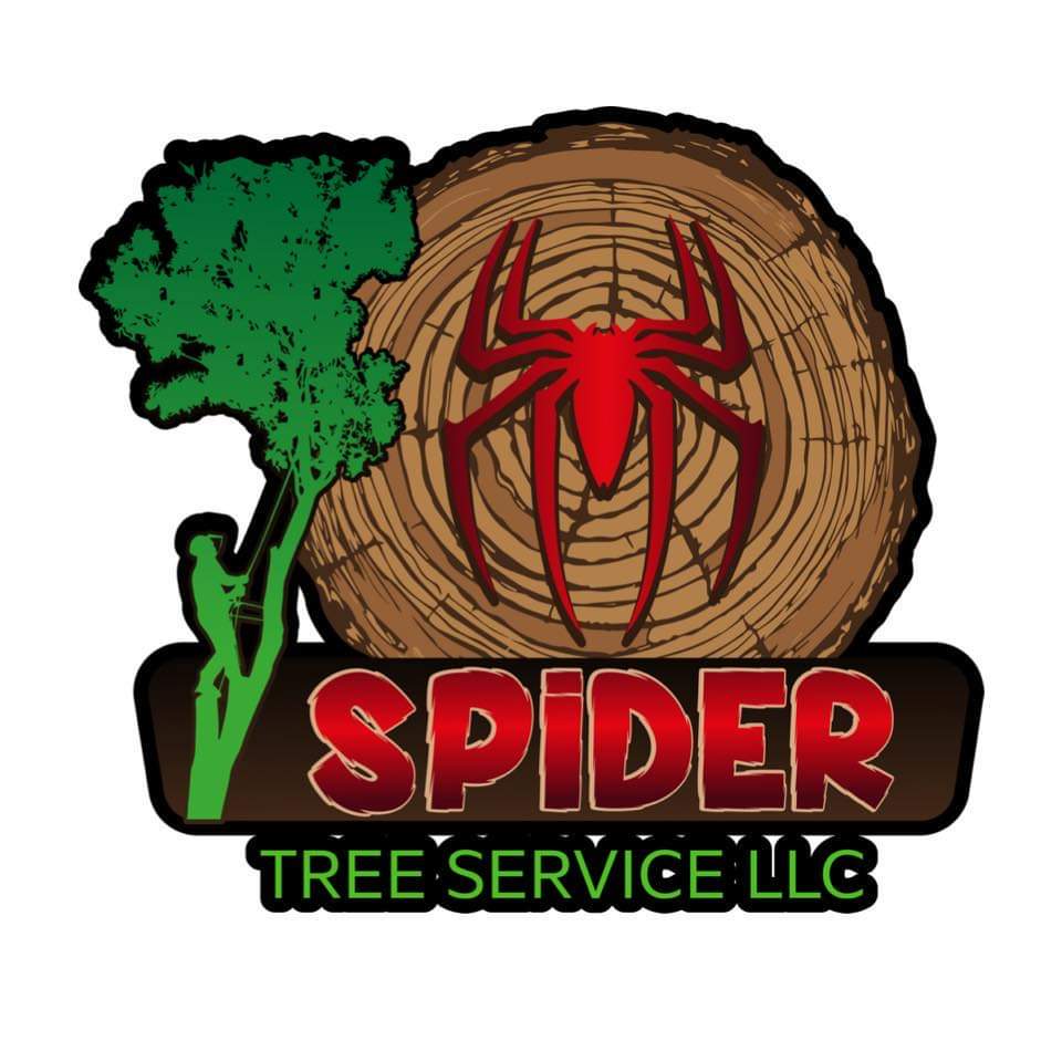 Spider Tree Services, LLC Logo