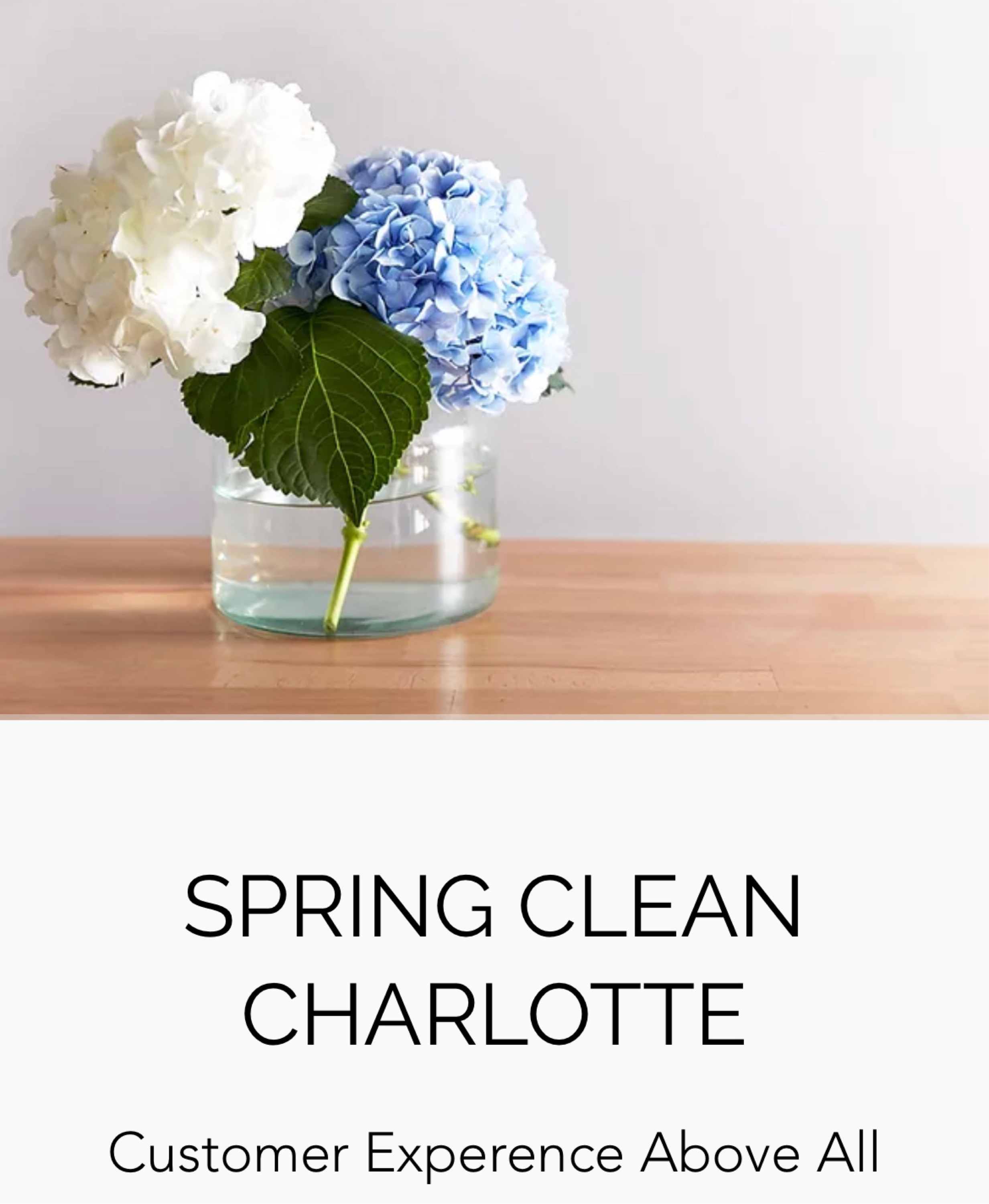 Spring Clean Charlotte LLC Logo
