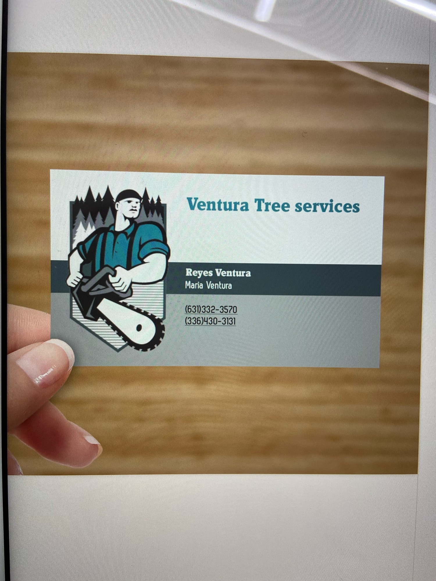 Ventura Tree Services LLC Logo