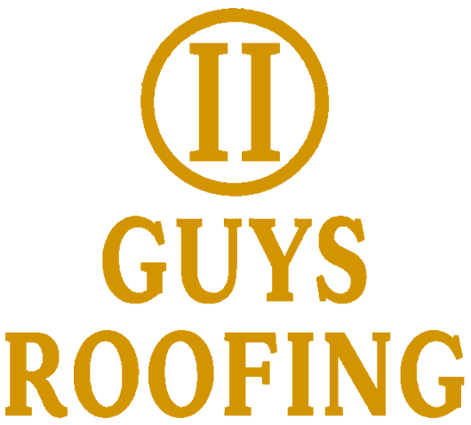 II Guys Roofing Logo