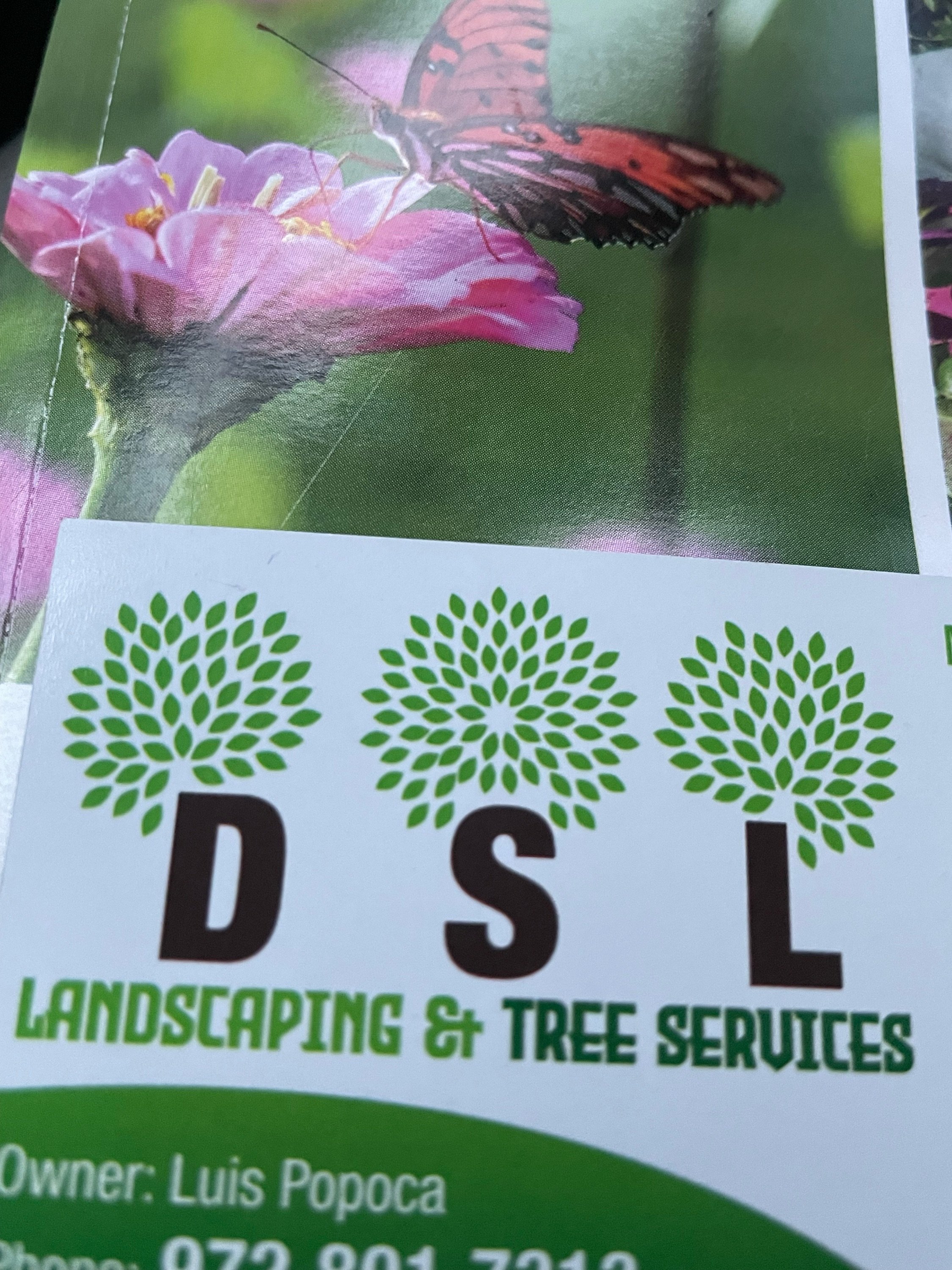 DSL Landscaping & Tree Services Logo