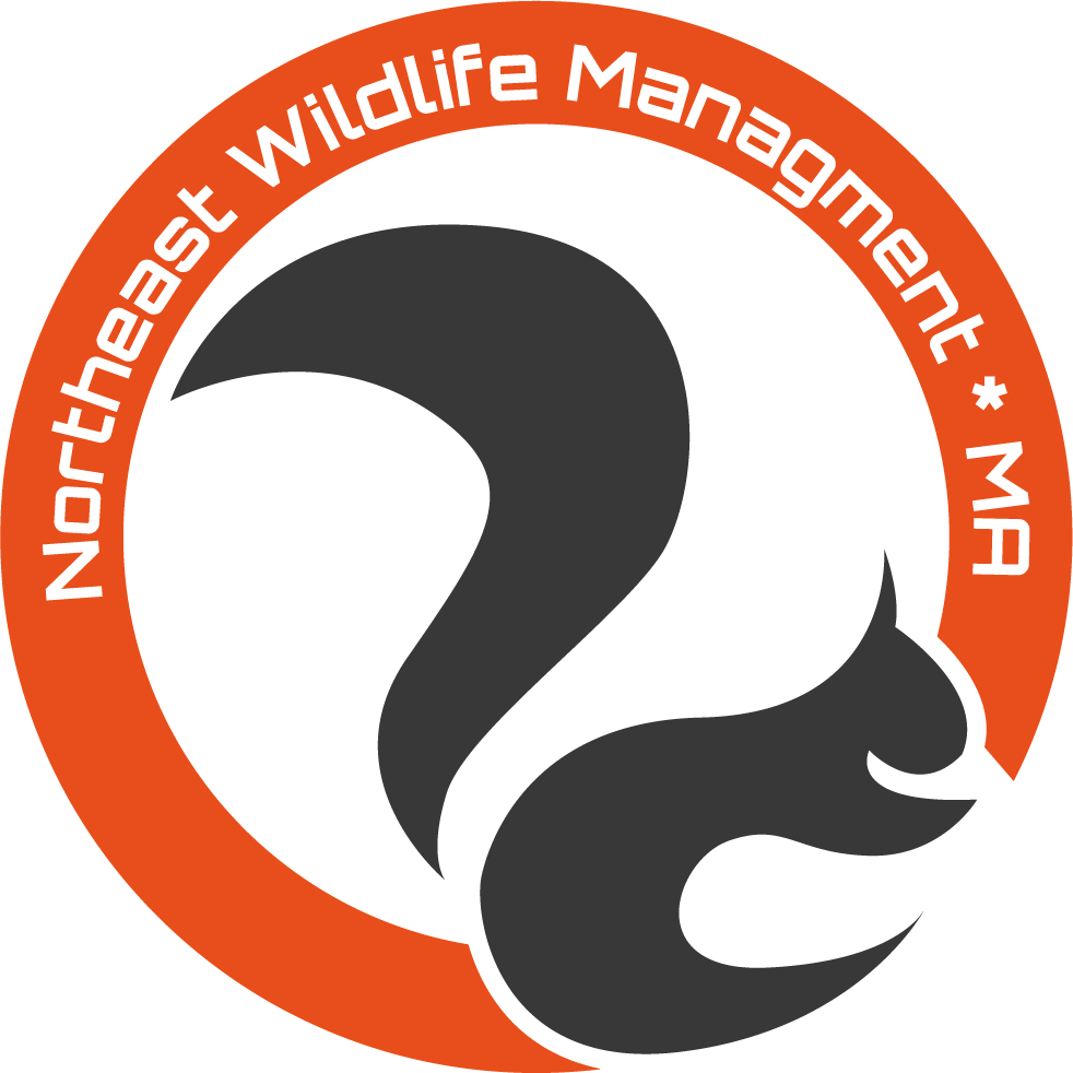 Northeast Wildlife Management, LLC Logo
