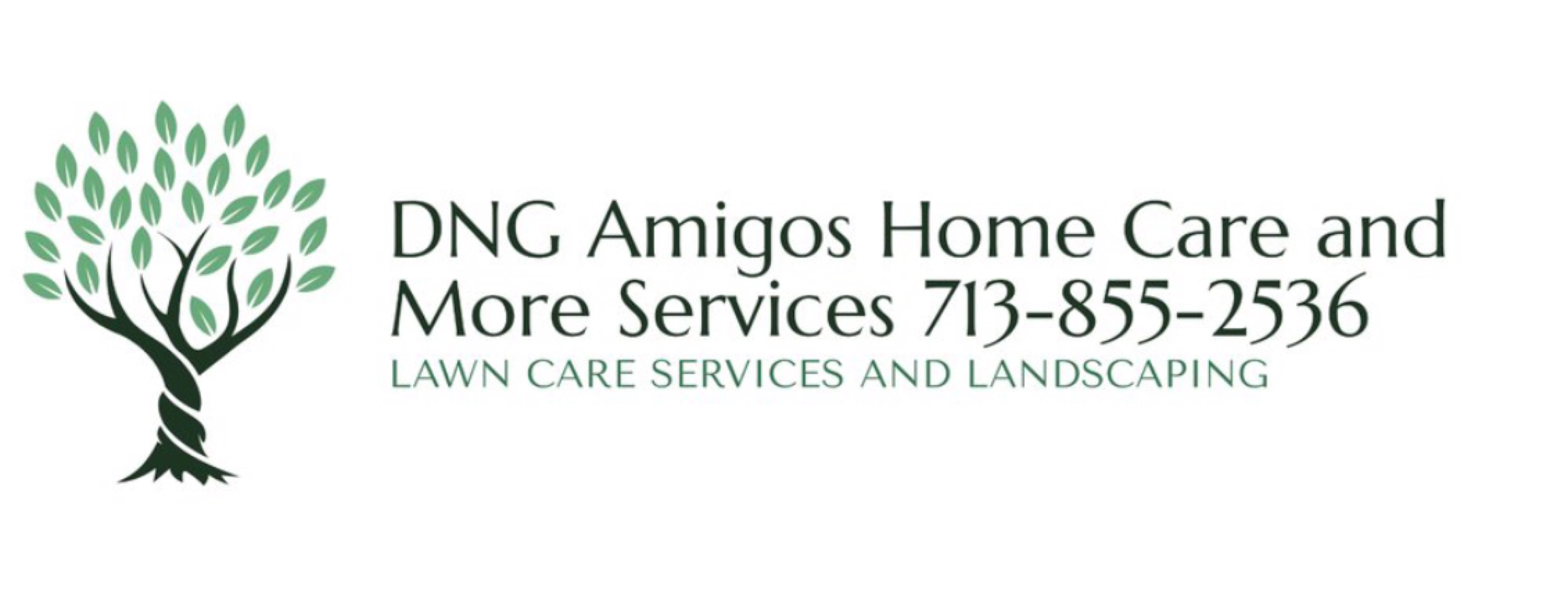DNG Amigos Homecare Logo