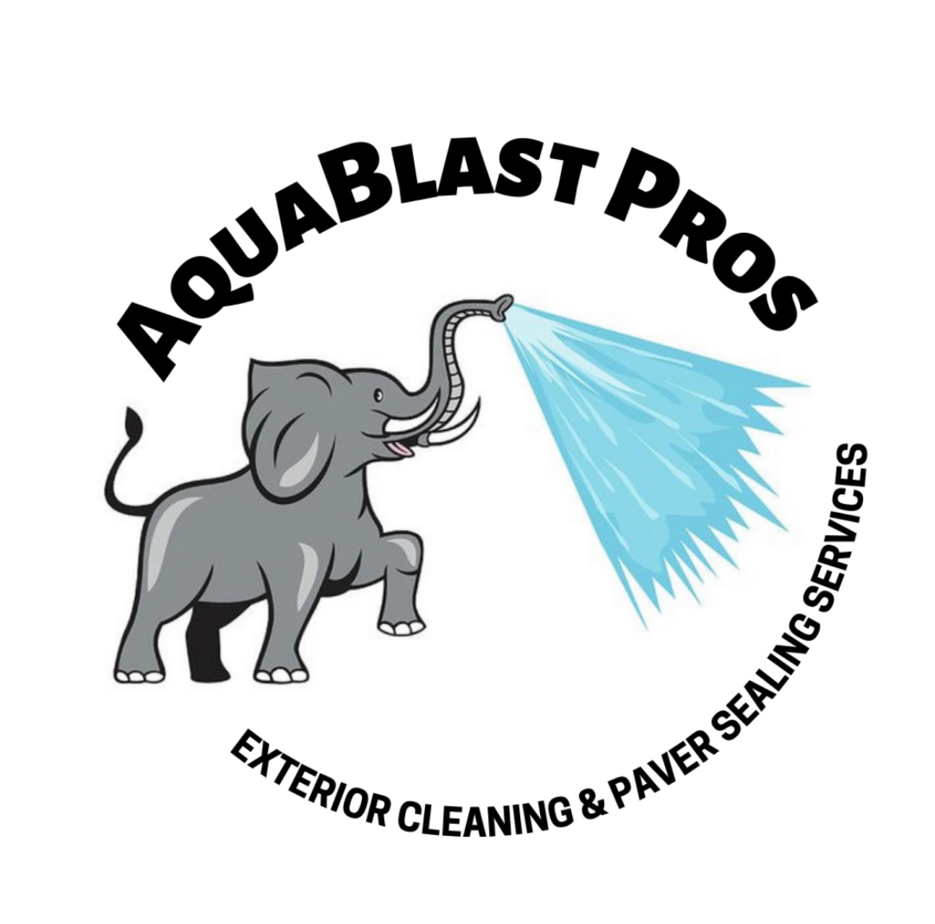 AquaBlast Pro's Logo