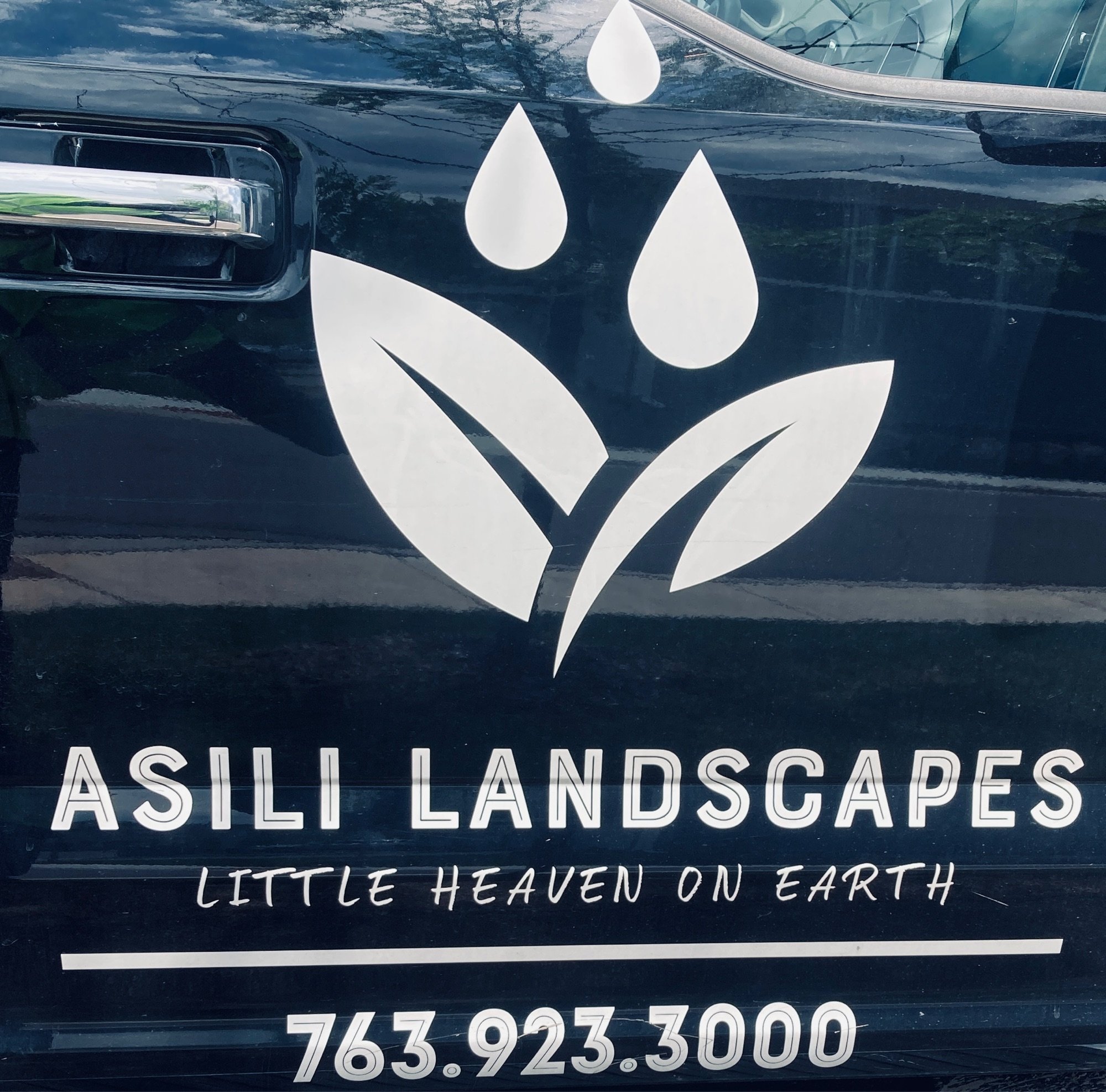 Asili Landscapes Logo