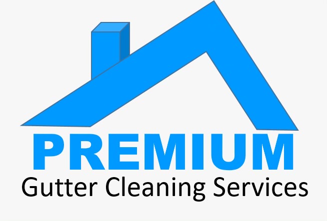 Premium Gutter Cleaning Services Logo